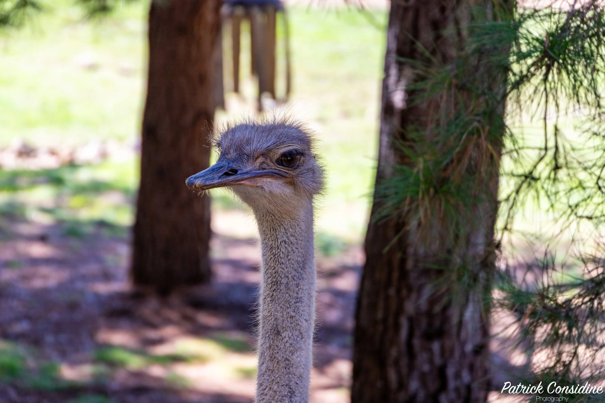 2026 National Zoo Canberra