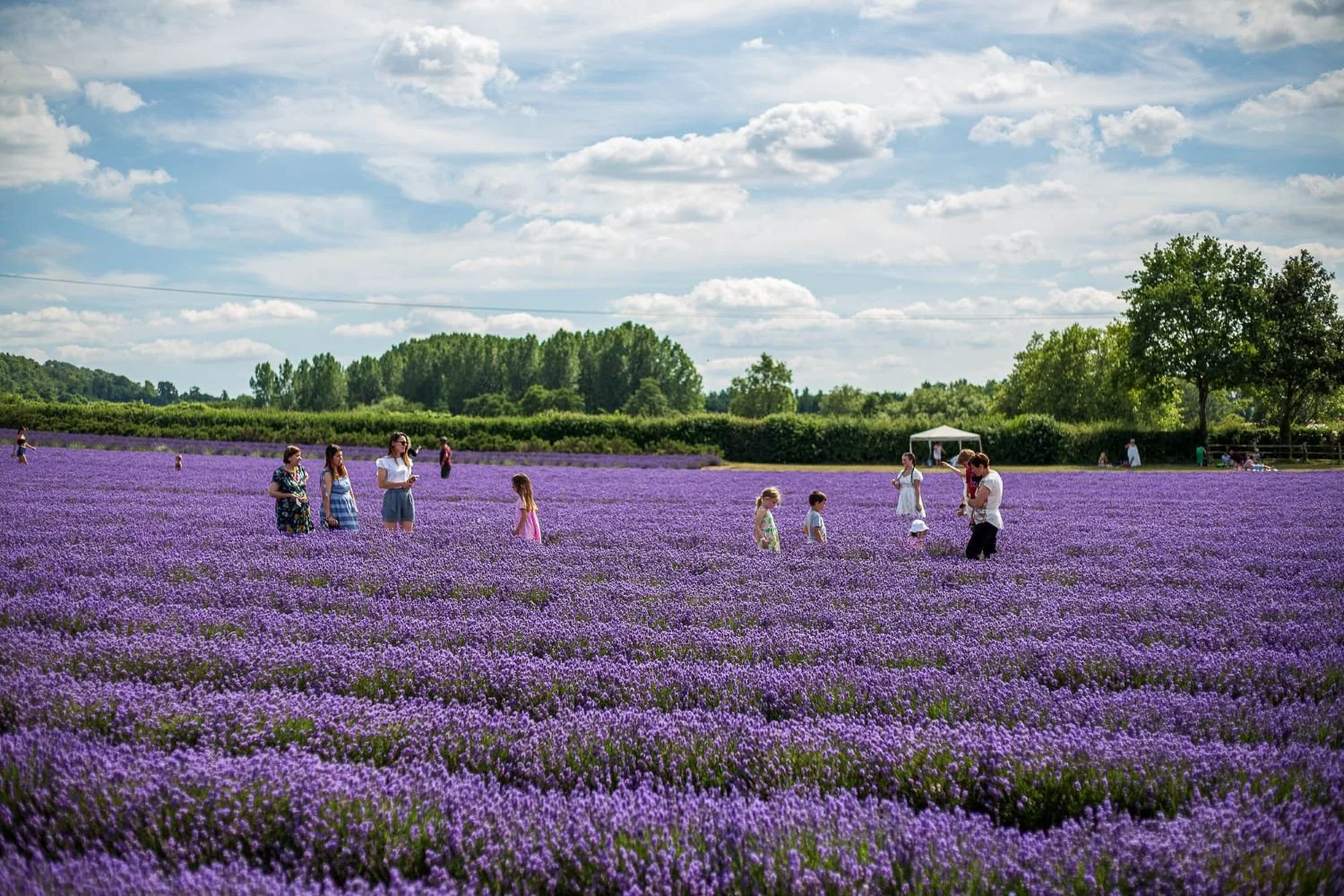 Kent, England.jpg