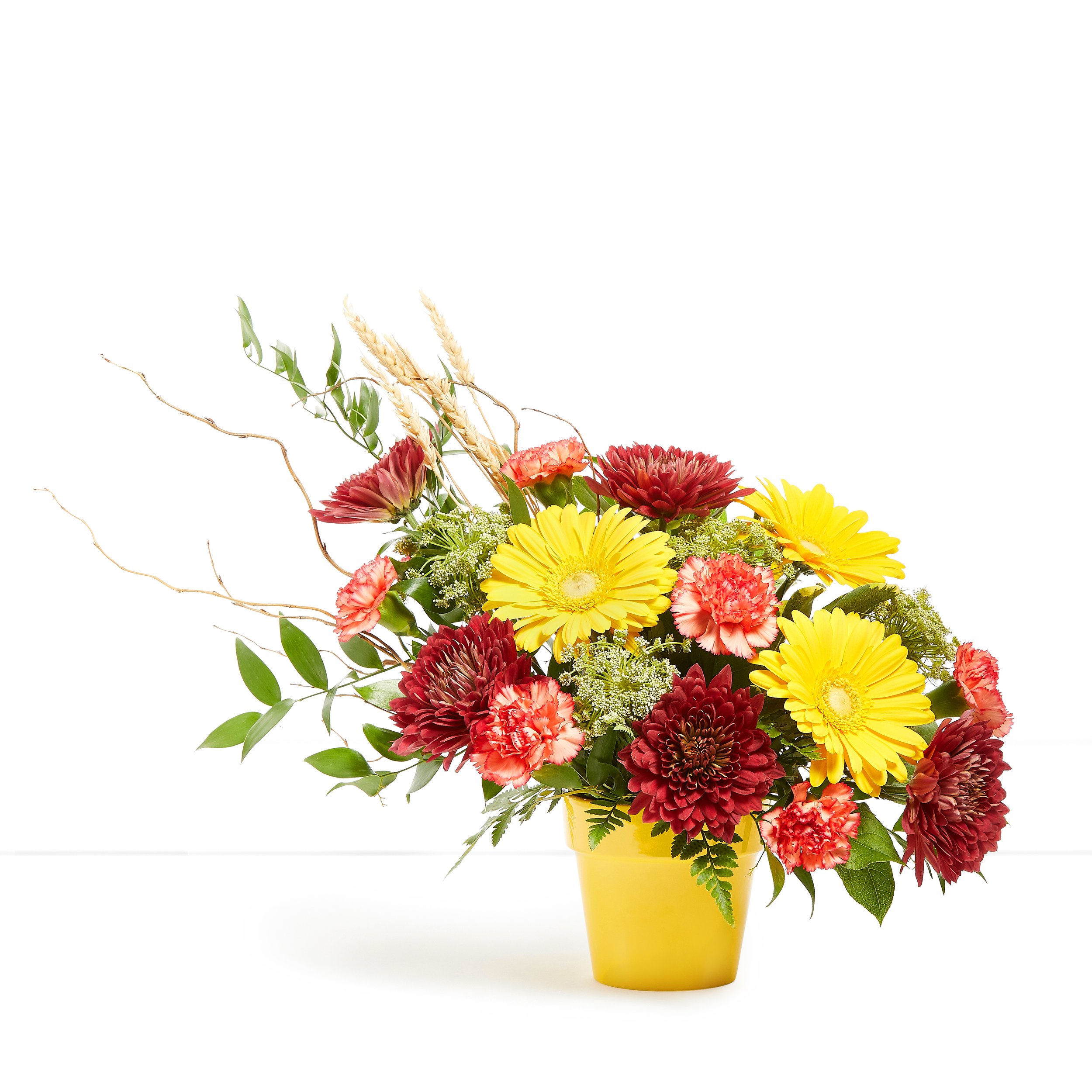 Floral Photography, Floral Website Photography, Flowers, Product flower Photography, Website photography, Groups of Product Photography