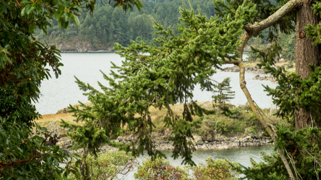 Pebble Cove Hotel on Orcas | Airbnb Eastsound 09.jpg