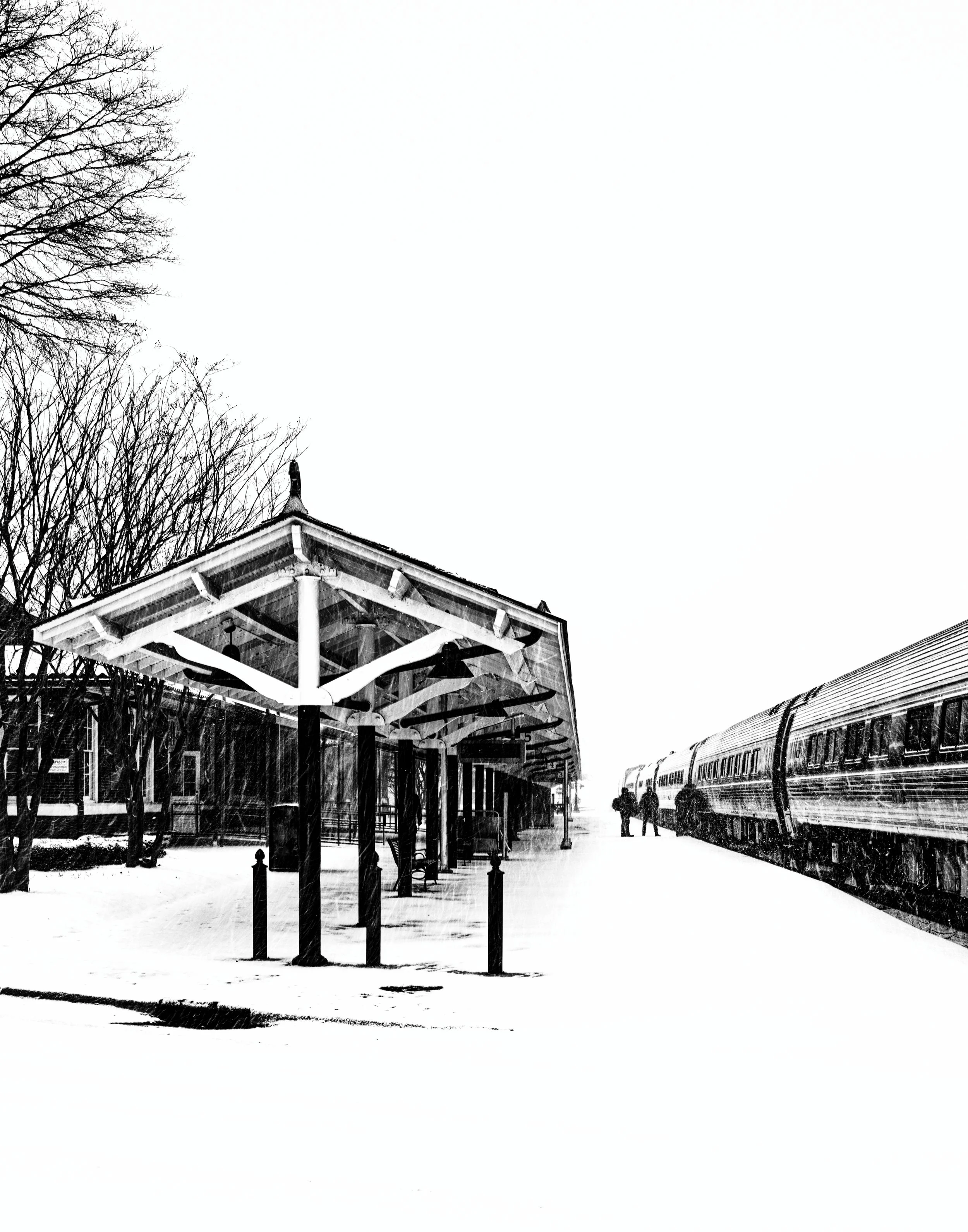 L1003154_Nik_DxO-3.jpg