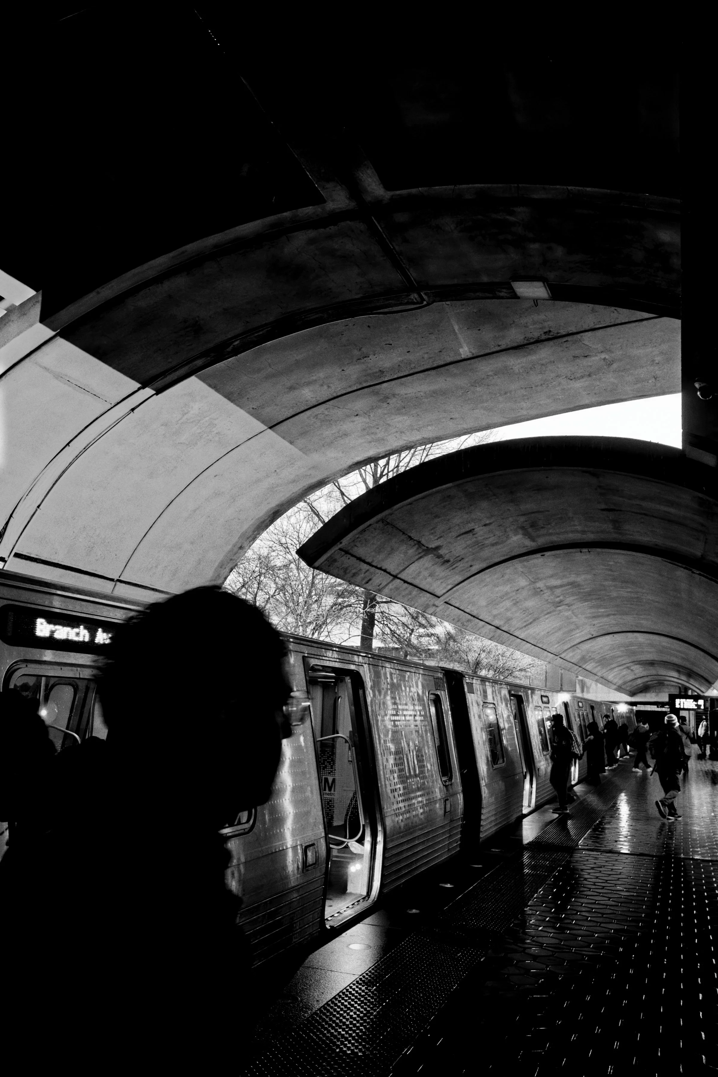 R0005646_Nik_DxO.jpg