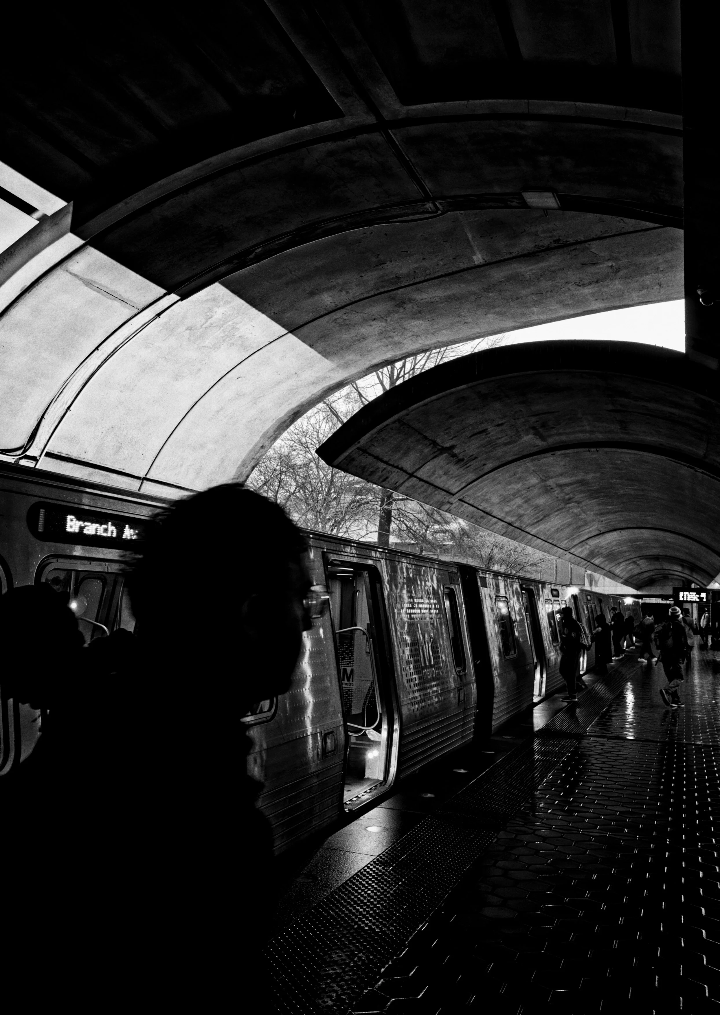 R0005646_Nik_DxO.jpg