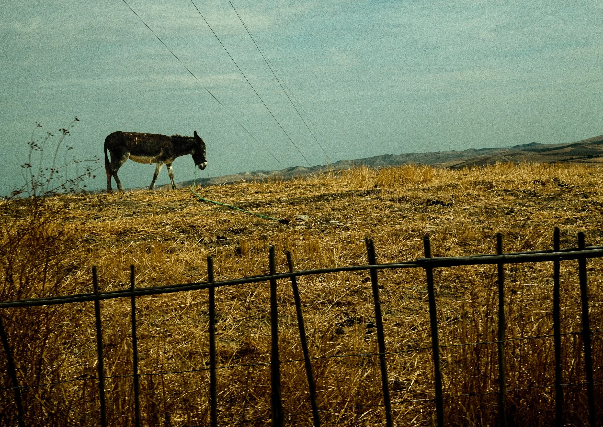 DSCF2106.jpg