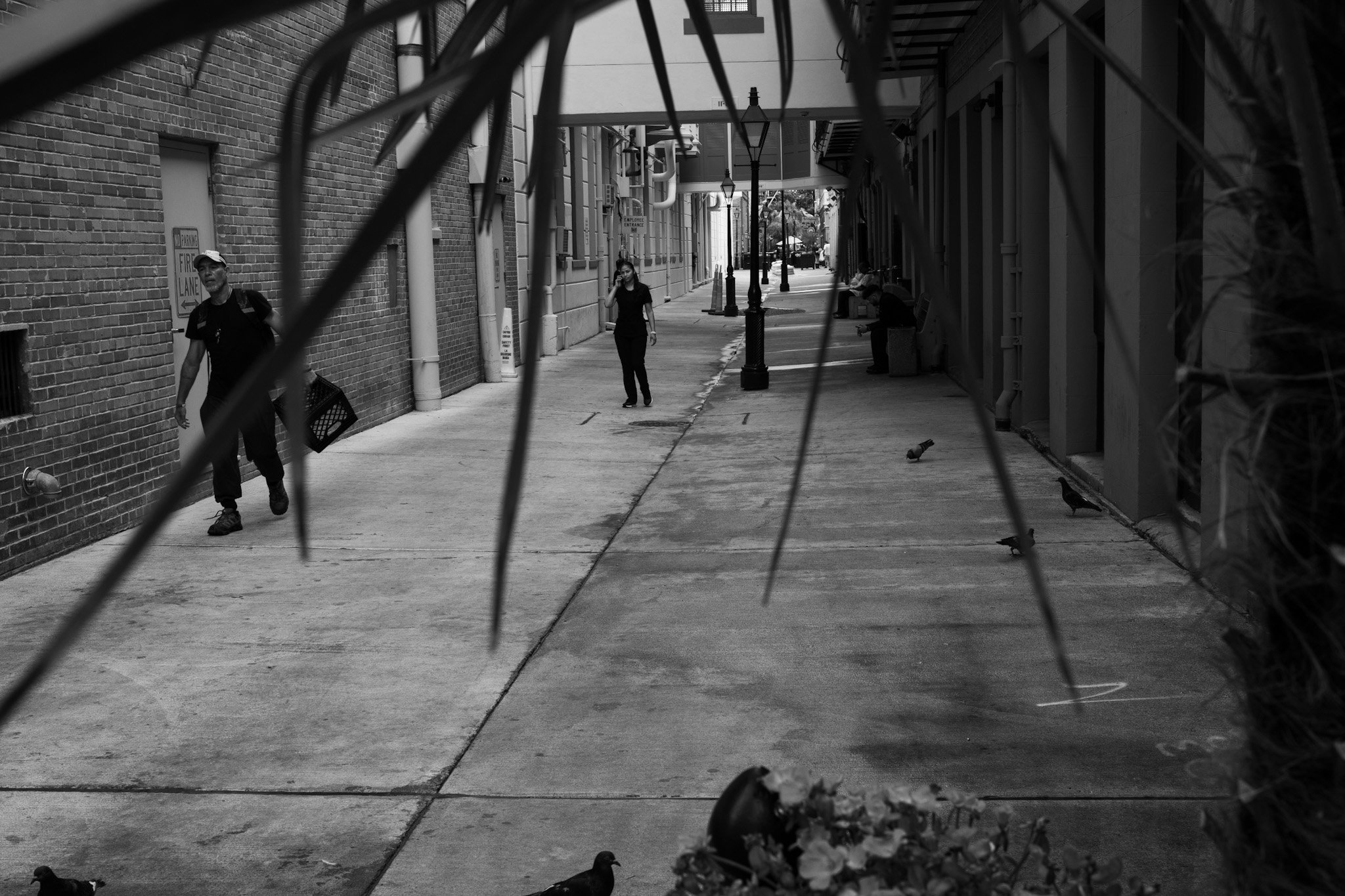 _DSC0117.jpeg