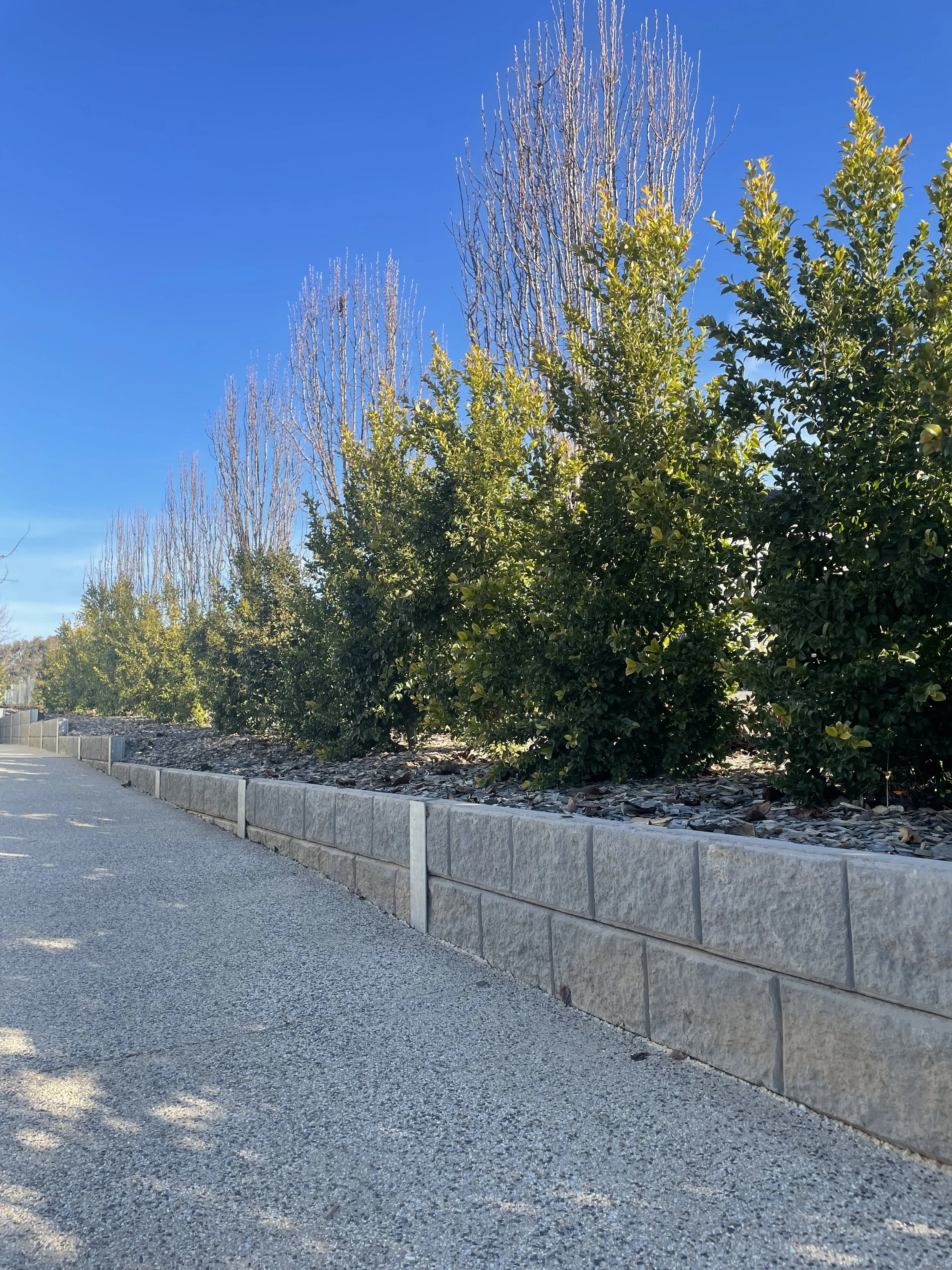 Outdoor Retaining Wall – Wangaratta. A concrete sleeper retaining wall adding strength, structure, and a refined finish to this landscaped outdoor area.