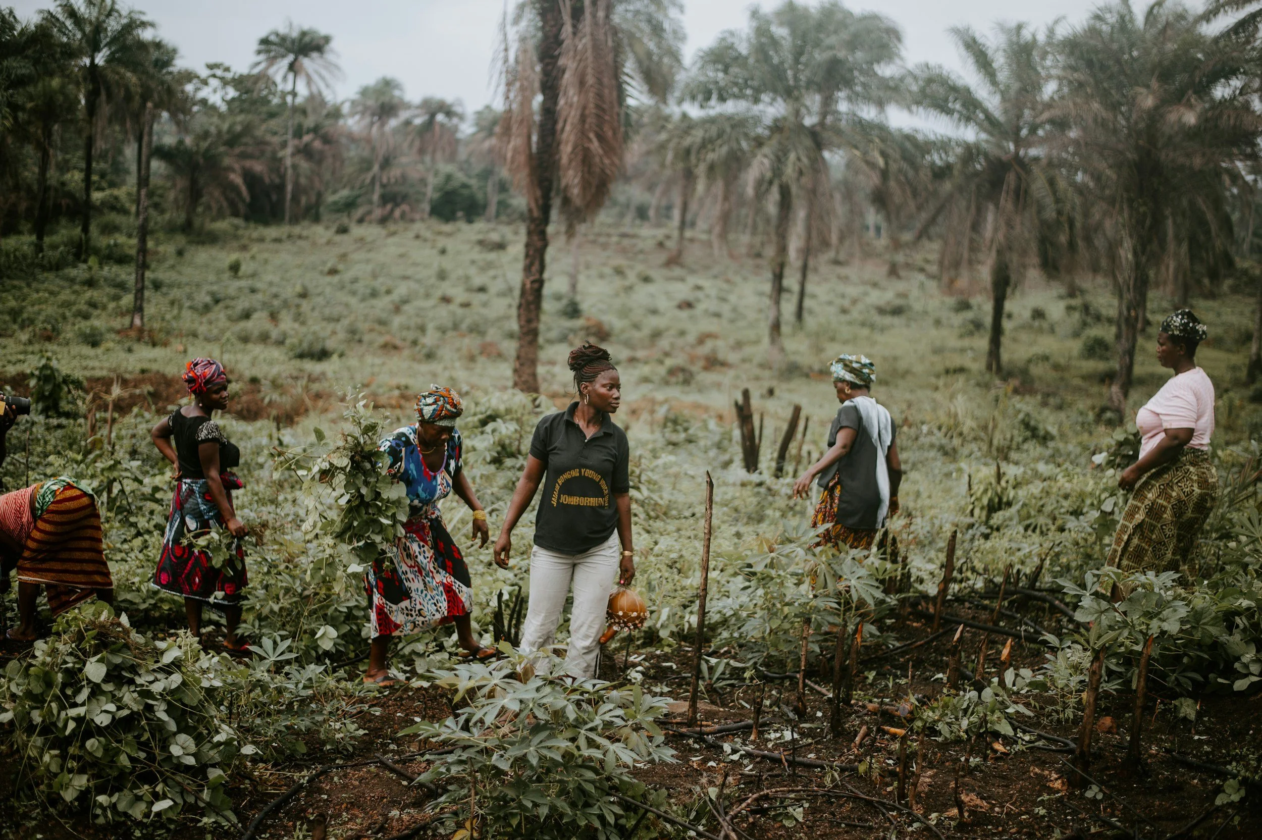 Group of women working in a lush farmland with palm trees in the background.