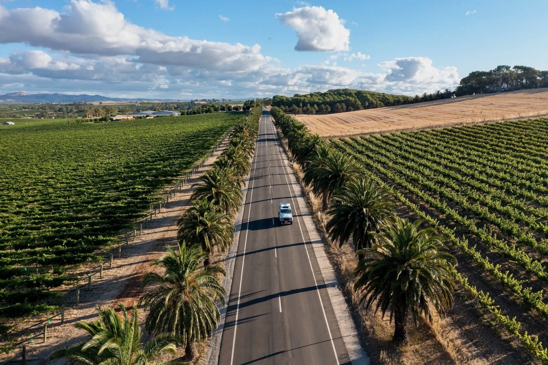 Aerial view of a two-lane road with palm trees on both sides, passing through agricultural fields with green crops on the left and brown harvest on the right, under a partly cloudy sky.