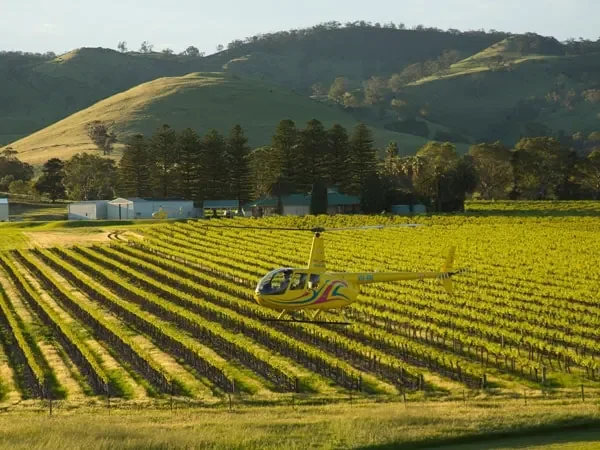 A helicopter flying over a vineyard with rows of grapevines, green hills, and trees in the background.