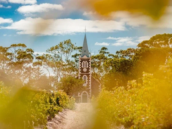 A church with a tall steeple surrounded by trees, seen through yellowish foliage.