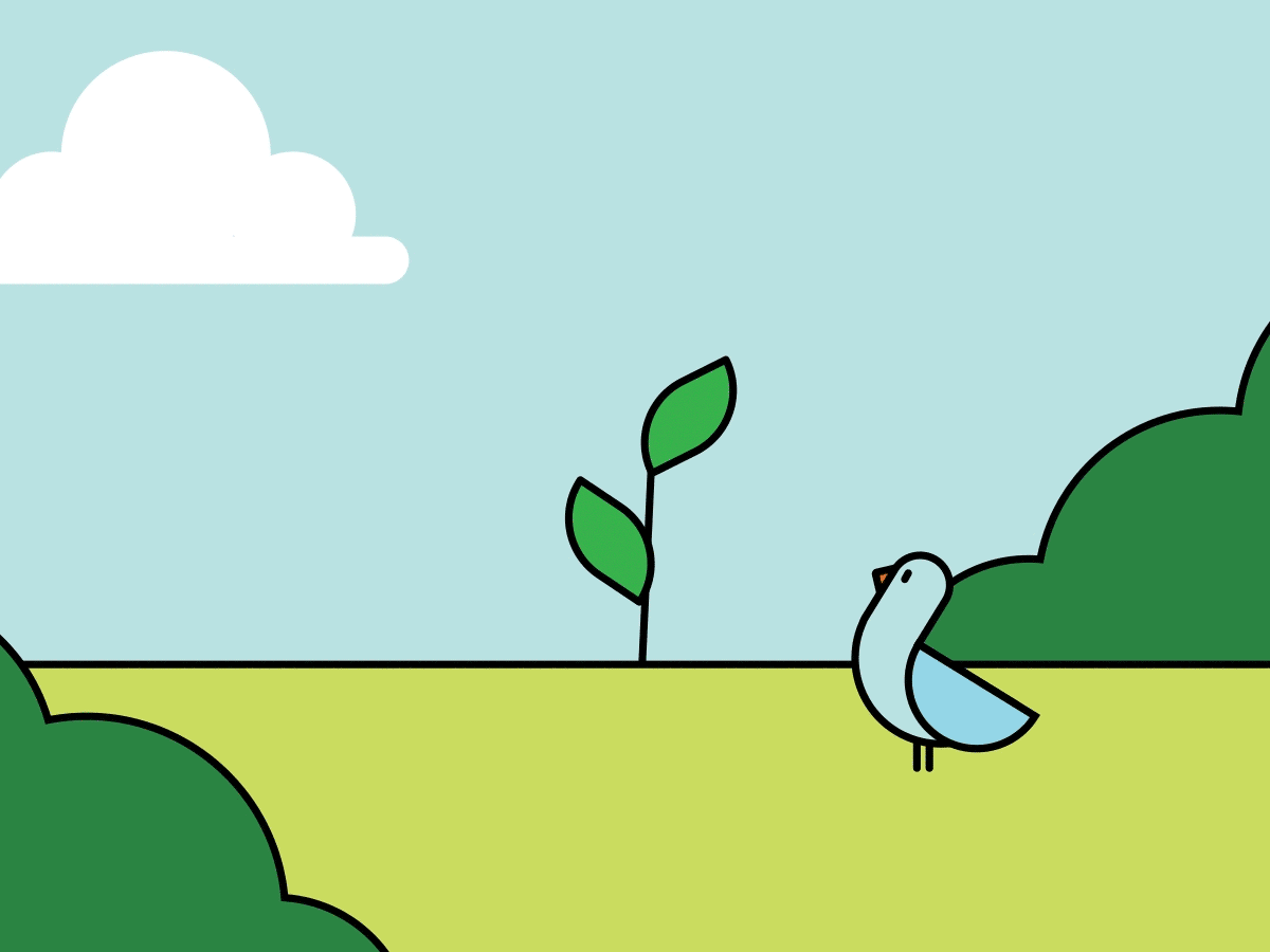 RETREE <br> Dept of Water & Environmental Regulation