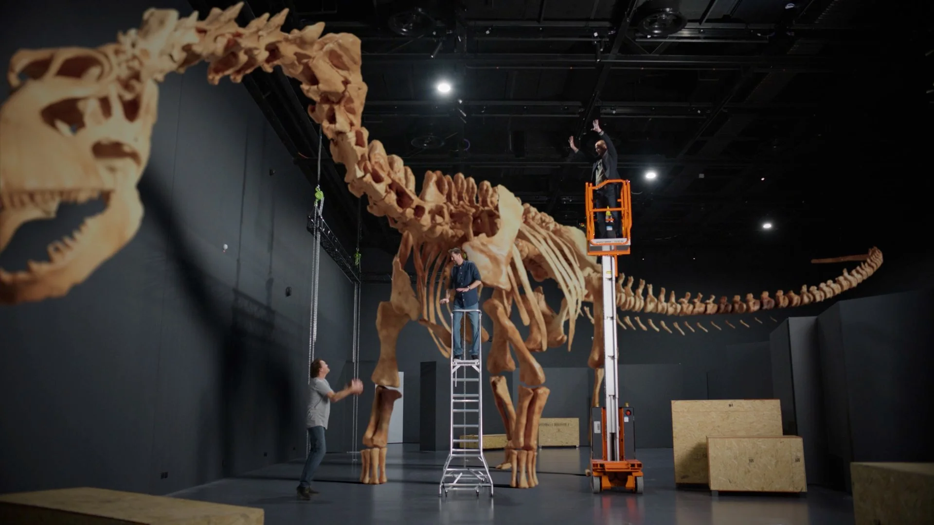 Dinosaurs of Patagonia