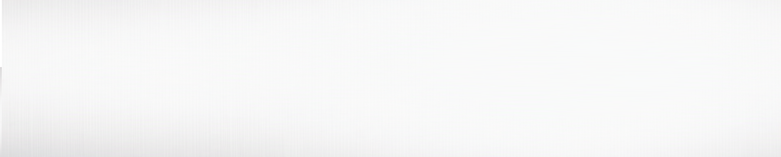 The image appears to be a blank, white background without any distinct objects or scenery.