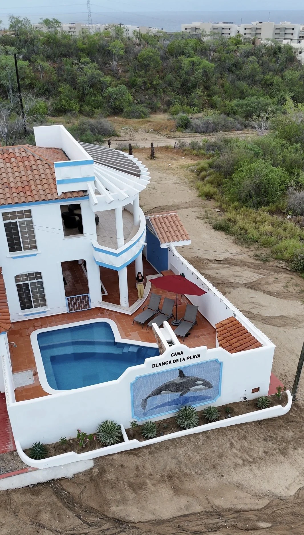 Photo Oct 14 2023, 2 32 51 PM.jpg