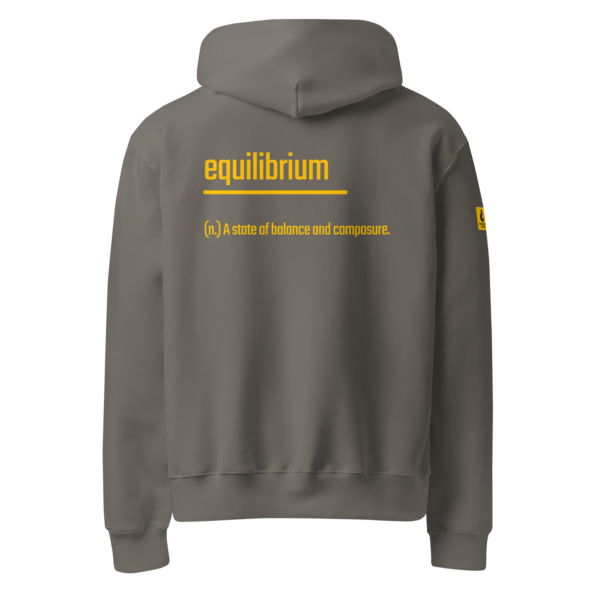 IntrovertedAlpha™ Oversized Hoodie in Asphalt for men, clean minimalist hoodie with premium heavyweight comfort