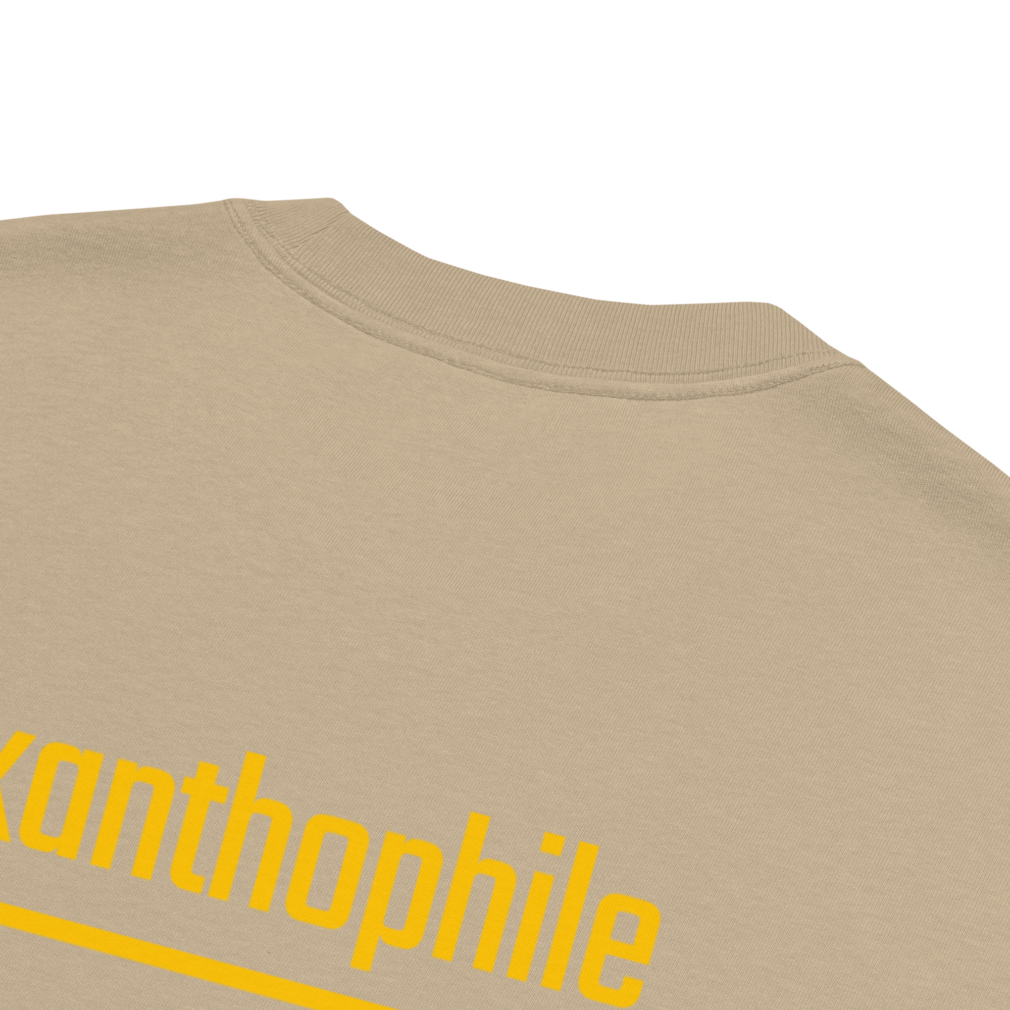 Xantho Philos™ Oversized Faded T-Shirt in Faded Khaki for men, neutral oversized T-shirt with casual streetwear style