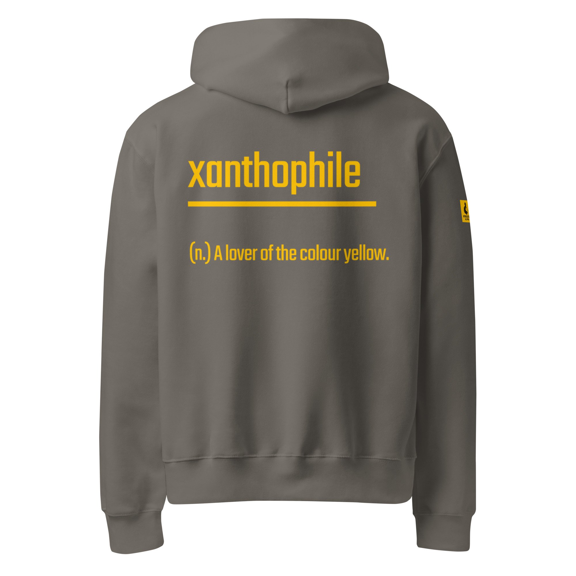 IntrovertedAlpha™ Oversized Hoodie in Asphalt for men, clean minimalist hoodie with premium heavyweight comfort