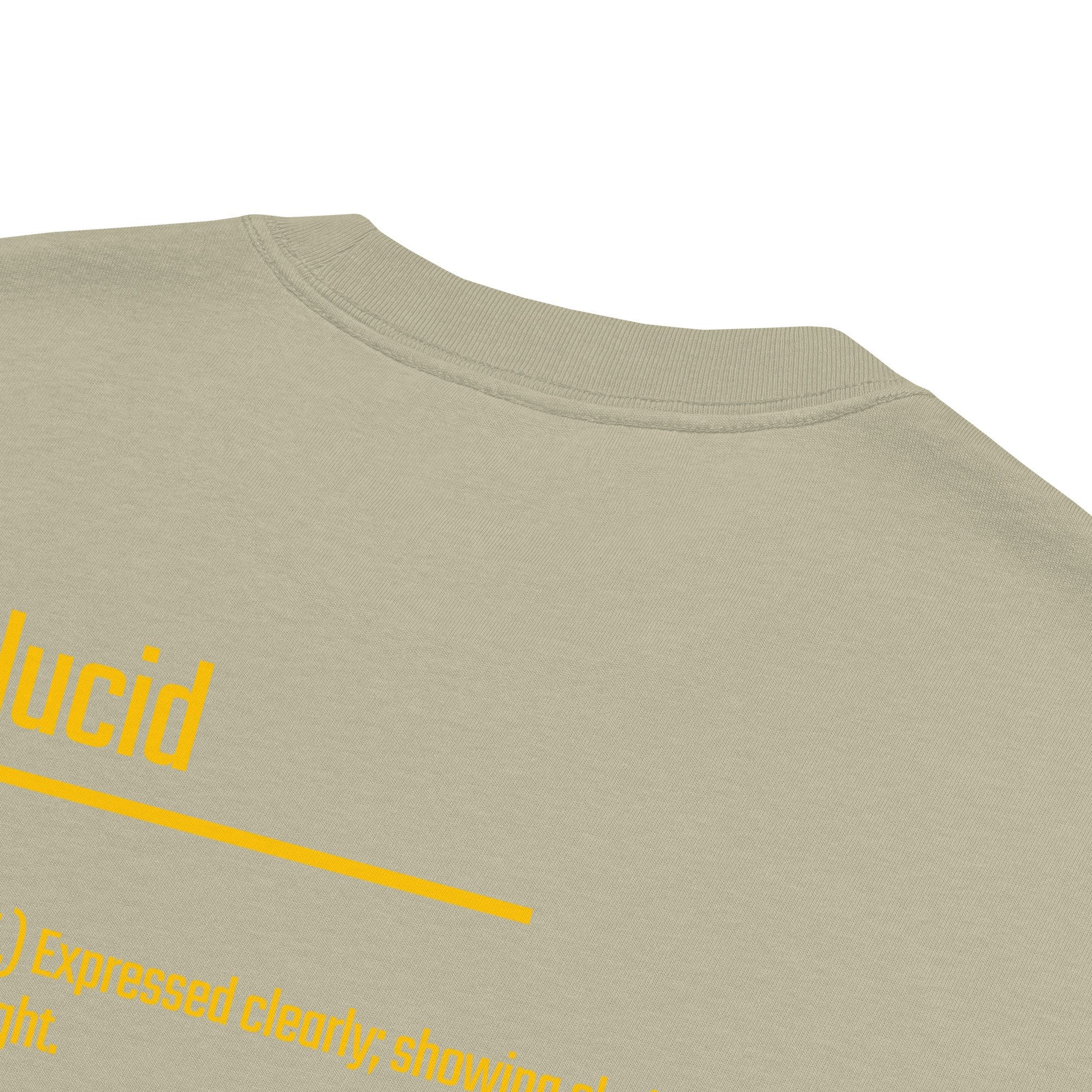 IntrovertedAlpha™ Oversized Faded T-Shirt in Faded Eucalyptus for men, washed green oversized T-shirt with premium casual style