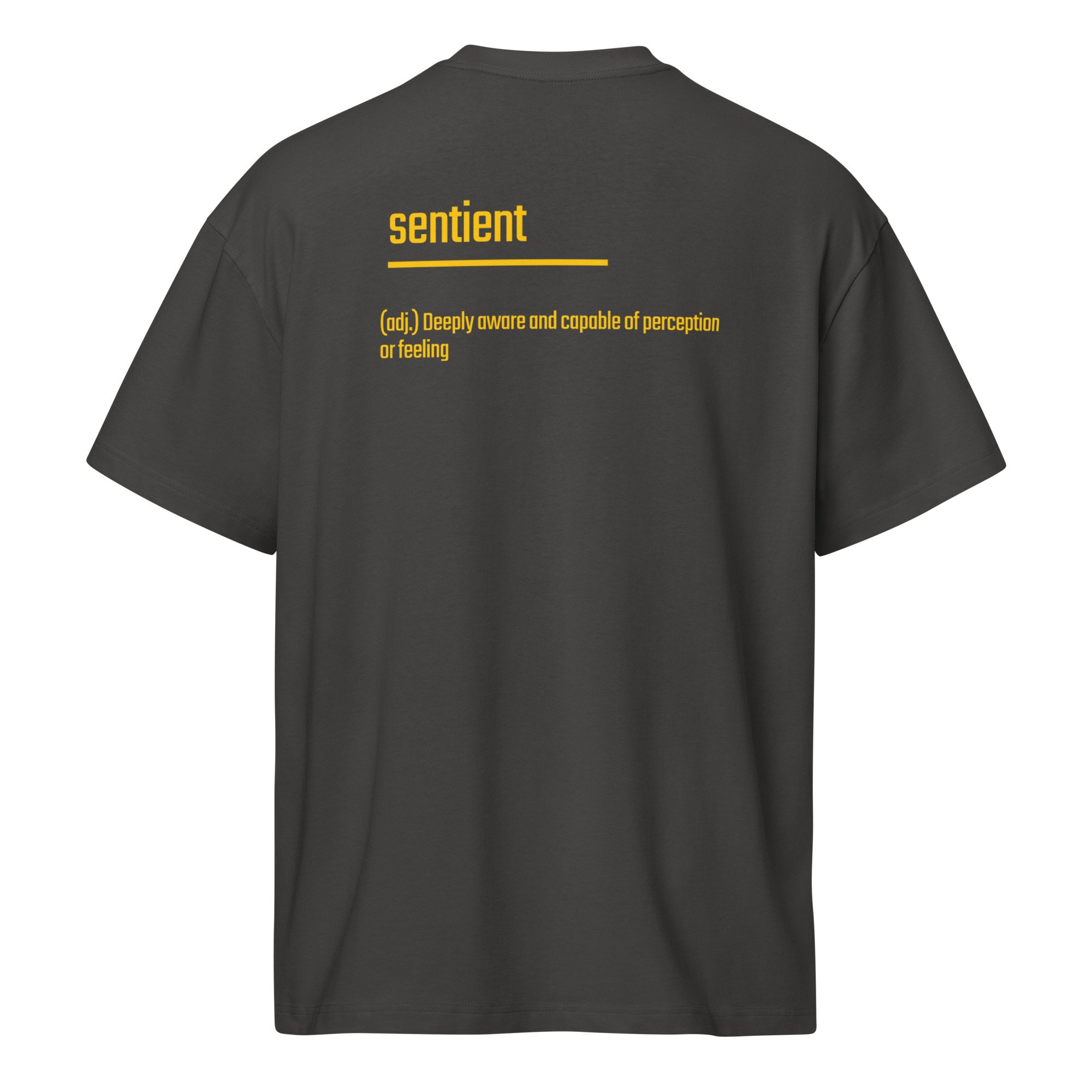 IntrovertedAlpha™ Box Tee in Vintage Black for men, washed boxy T-shirt with a relaxed streetwear silhouette
