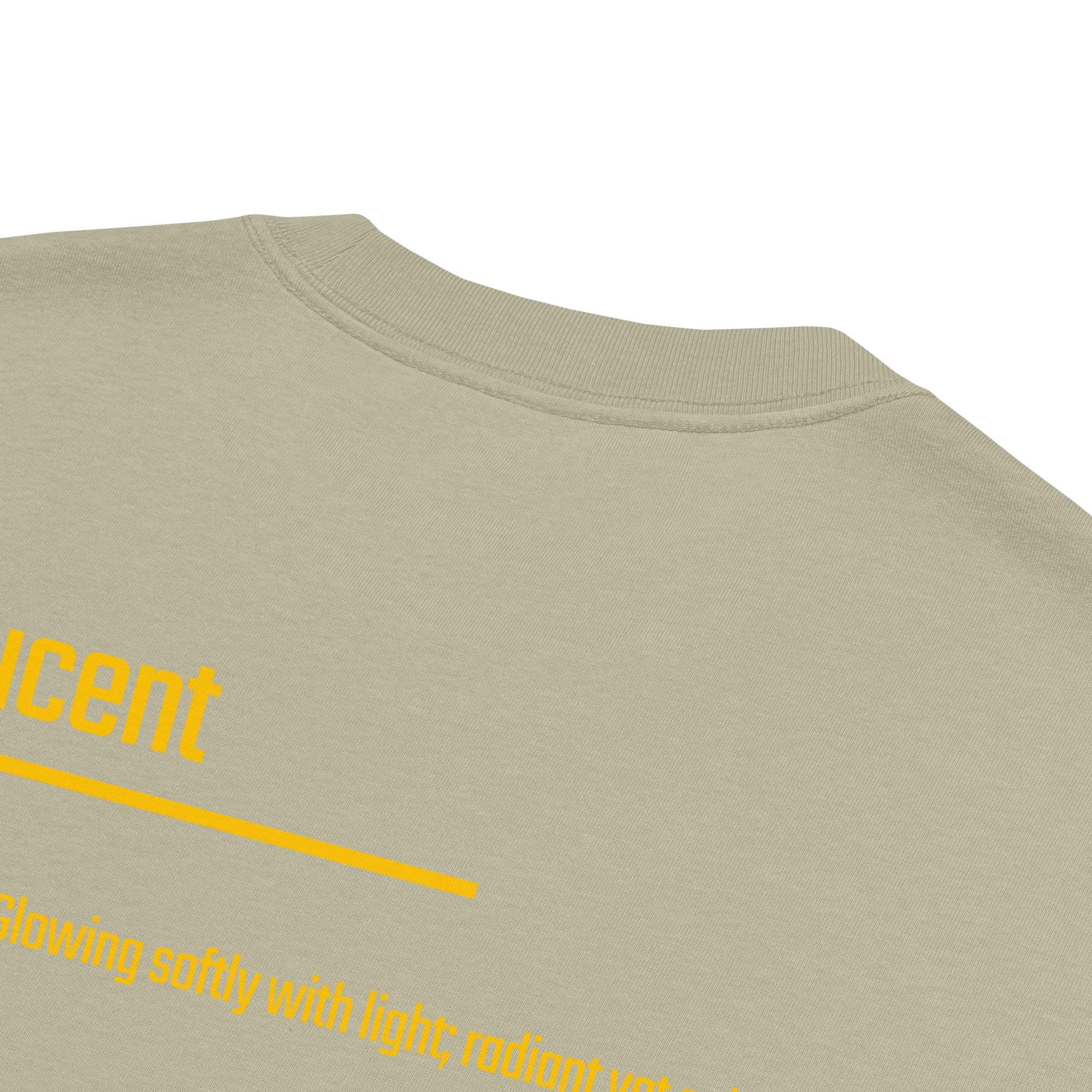 Xantho Philos™ Oversized Faded T-Shirt in Faded Eucalyptus for men, washed green oversized T-shirt with premium casual style