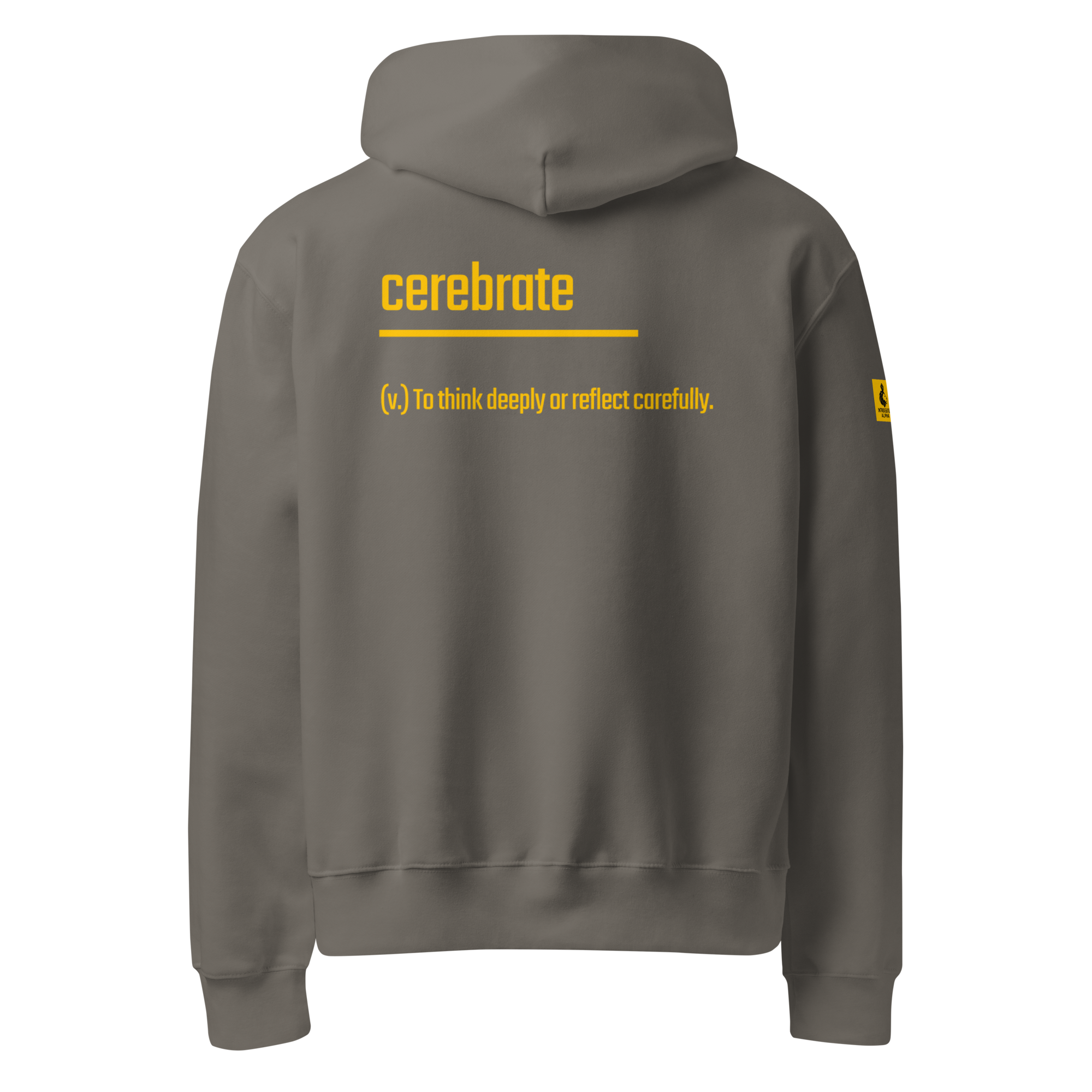 IntrovertedAlpha™ Oversized Hoodie in Asphalt for men, clean minimalist hoodie with premium heavyweight comfort