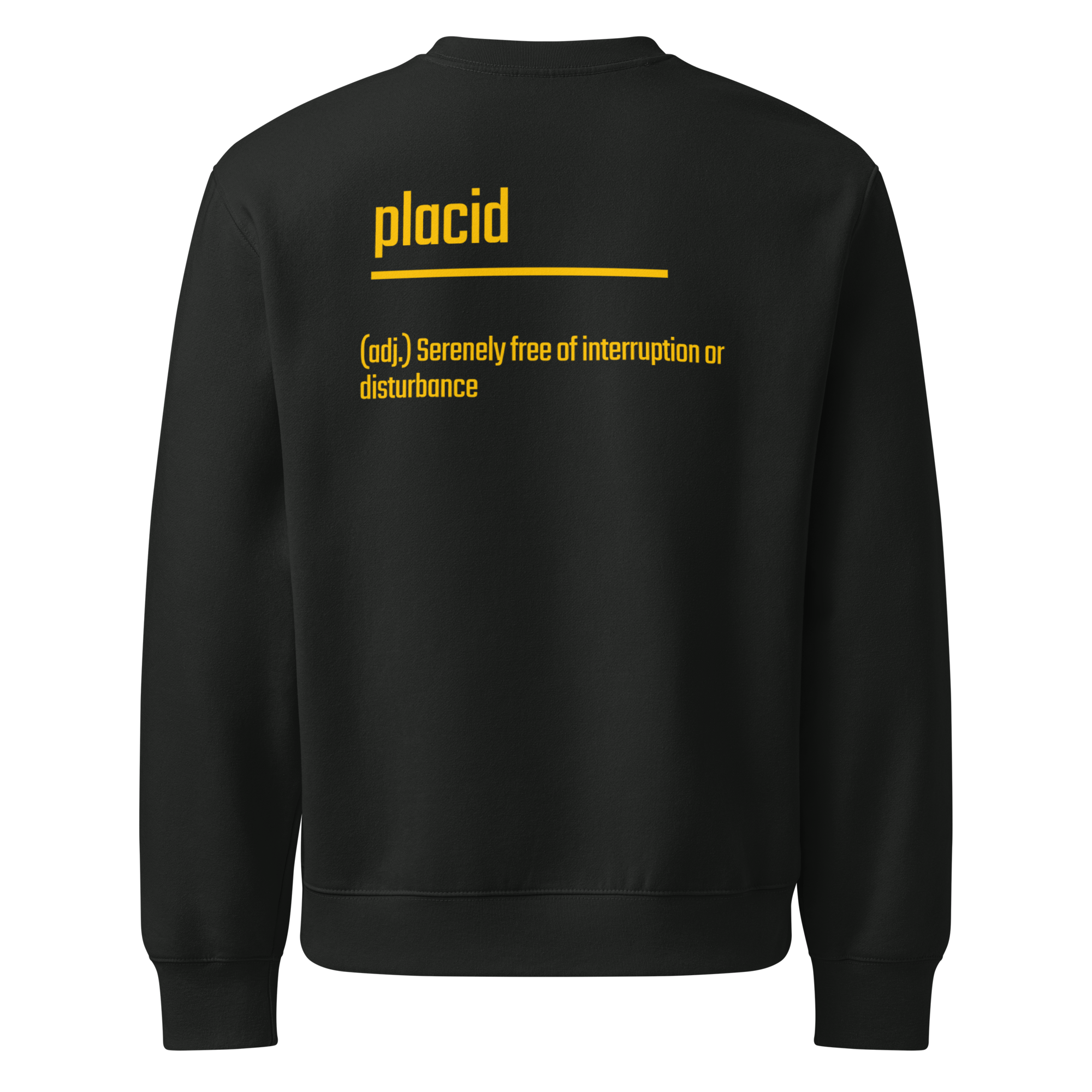 IntrovertedAlpha™ Oversized Sweatshirt in Vintage Black for men, washed heavyweight sweatshirt with a relaxed oversized fit