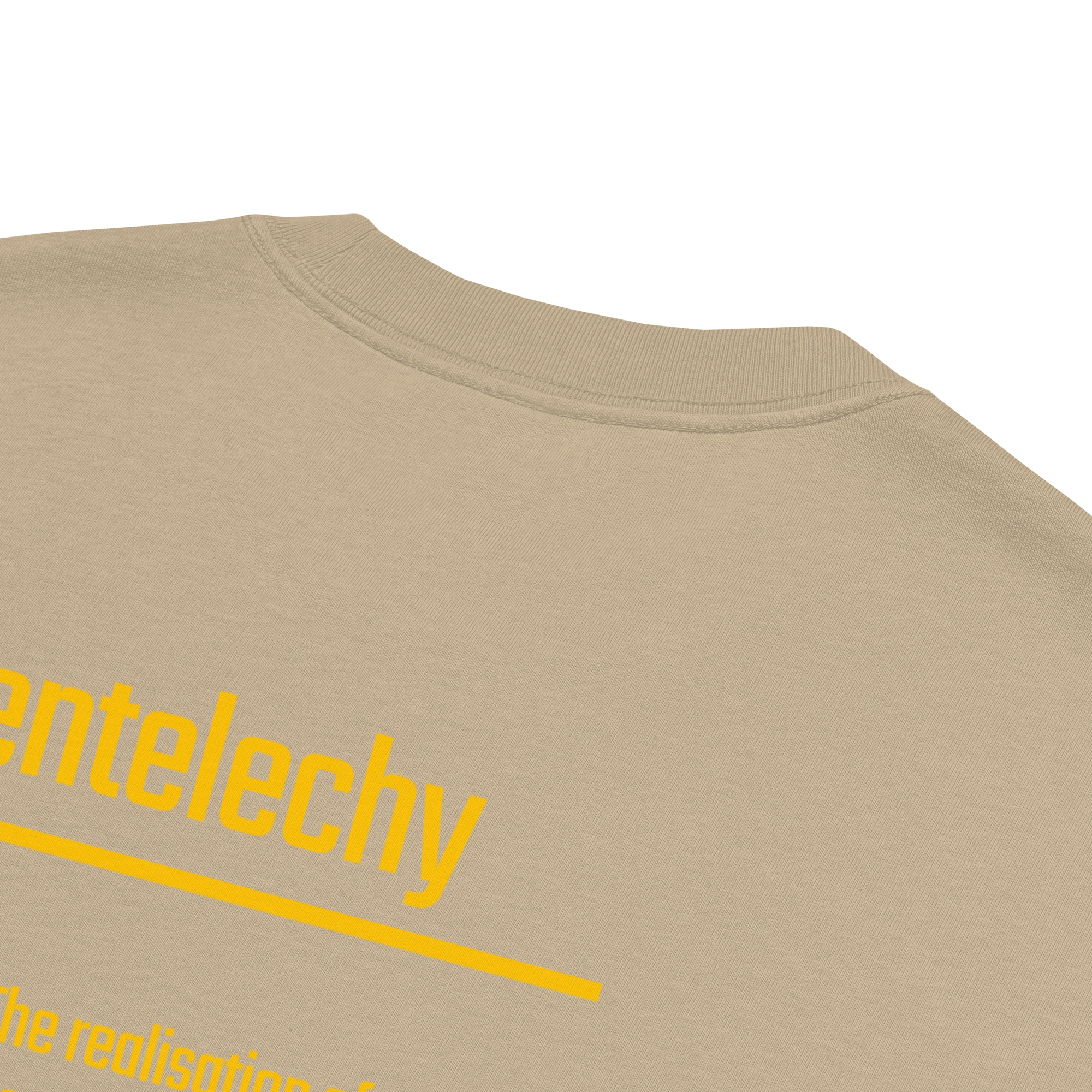 IntrovertedAlpha™ Oversized Faded T-Shirt in Faded Khaki for men, neutral oversized T-shirt with casual streetwear style
