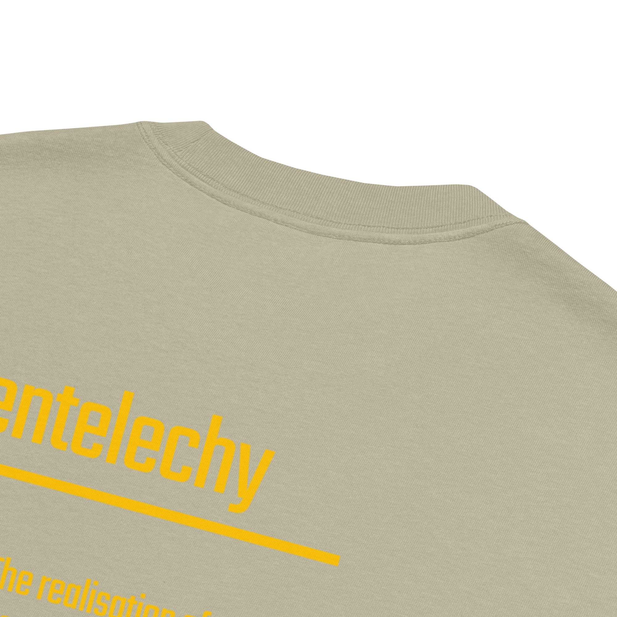 IntrovertedAlpha™ Oversized Faded T-Shirt in Faded Eucalyptus for men, washed green oversized T-shirt with premium casual style
