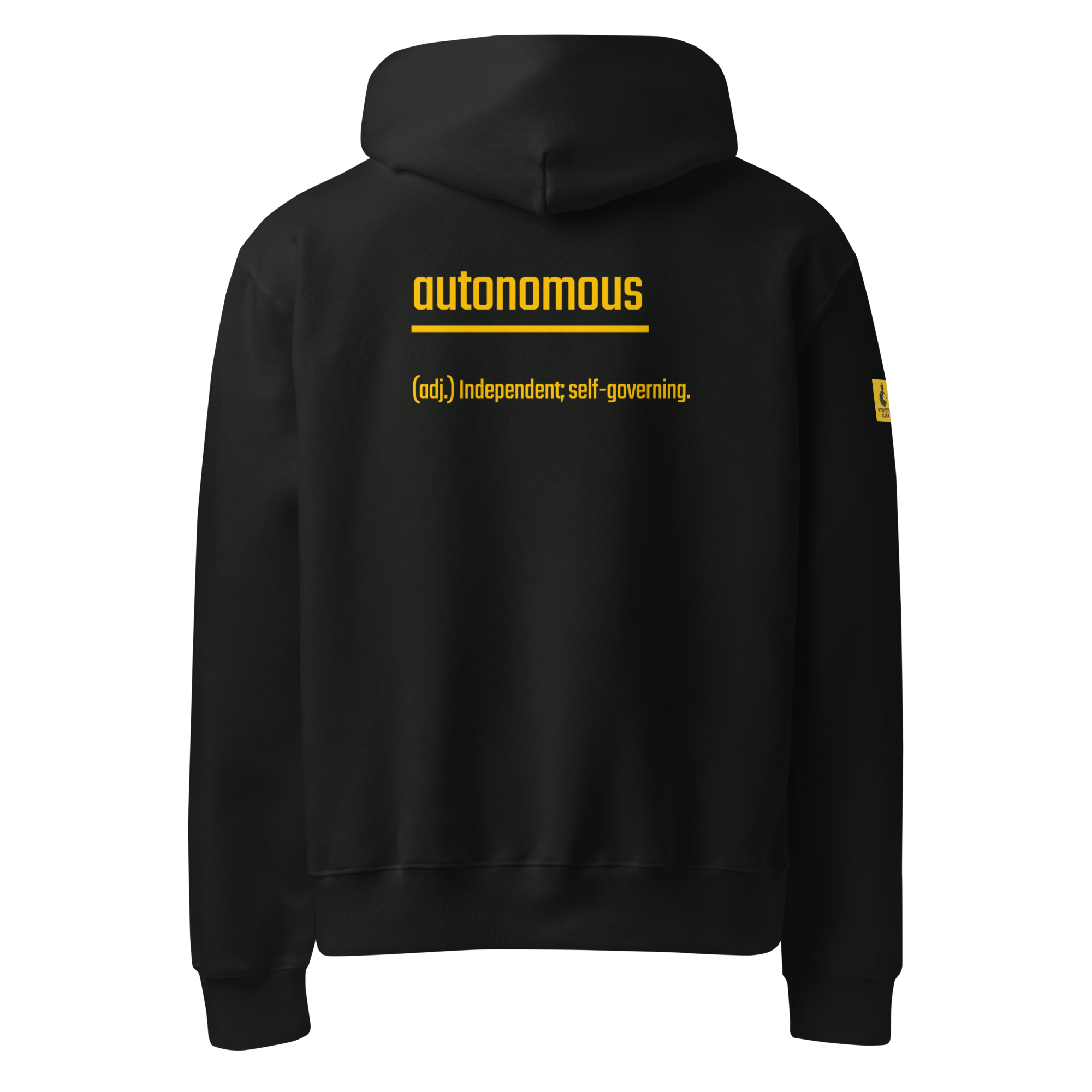 IntrovertedAlpha™ Oversized Hoodie in Vintage Black for men, premium heavyweight streetwear with a relaxed oversized fit