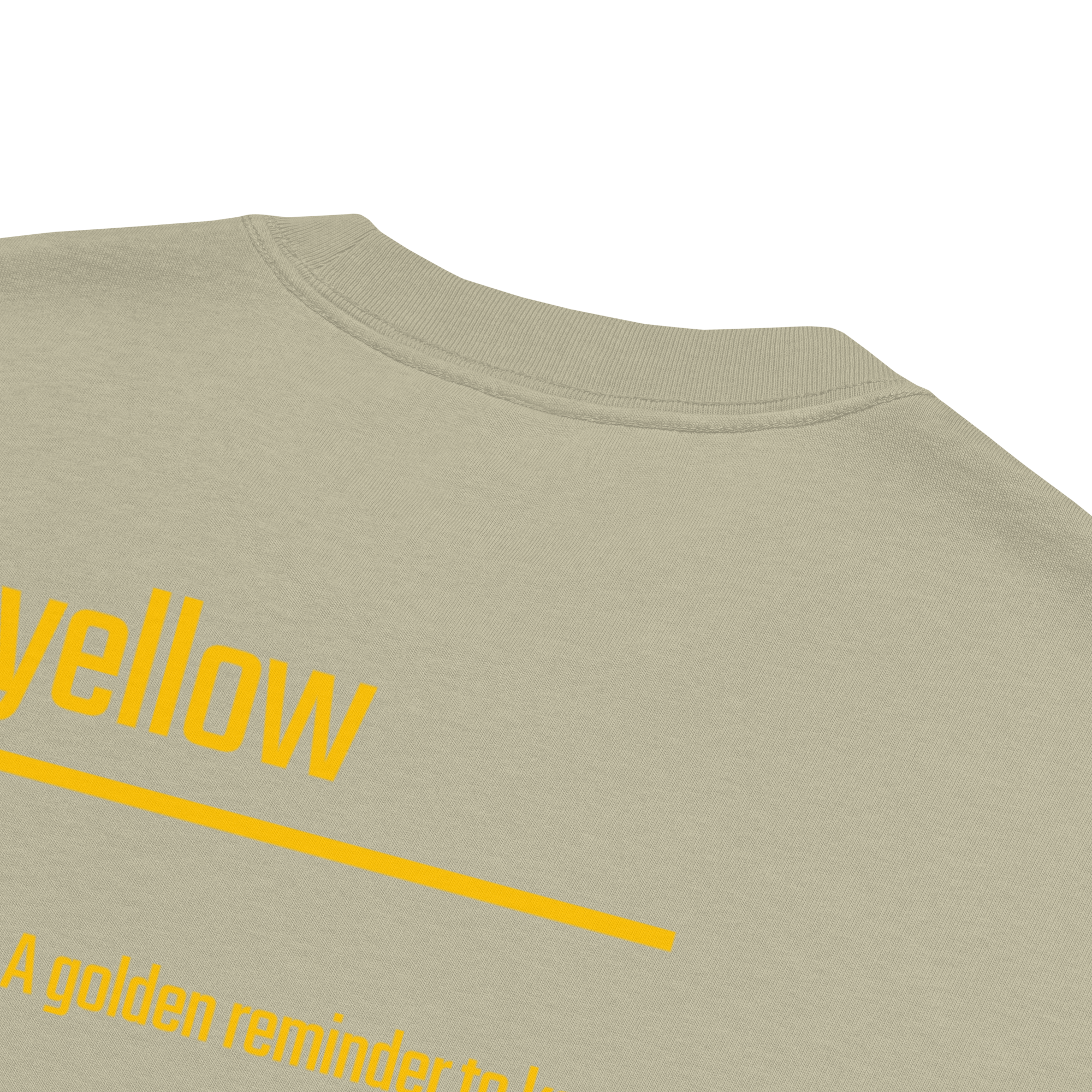 Xantho Philos™ Oversized Faded T-Shirt in Faded Eucalyptus for men, washed green oversized T-shirt with premium casual style