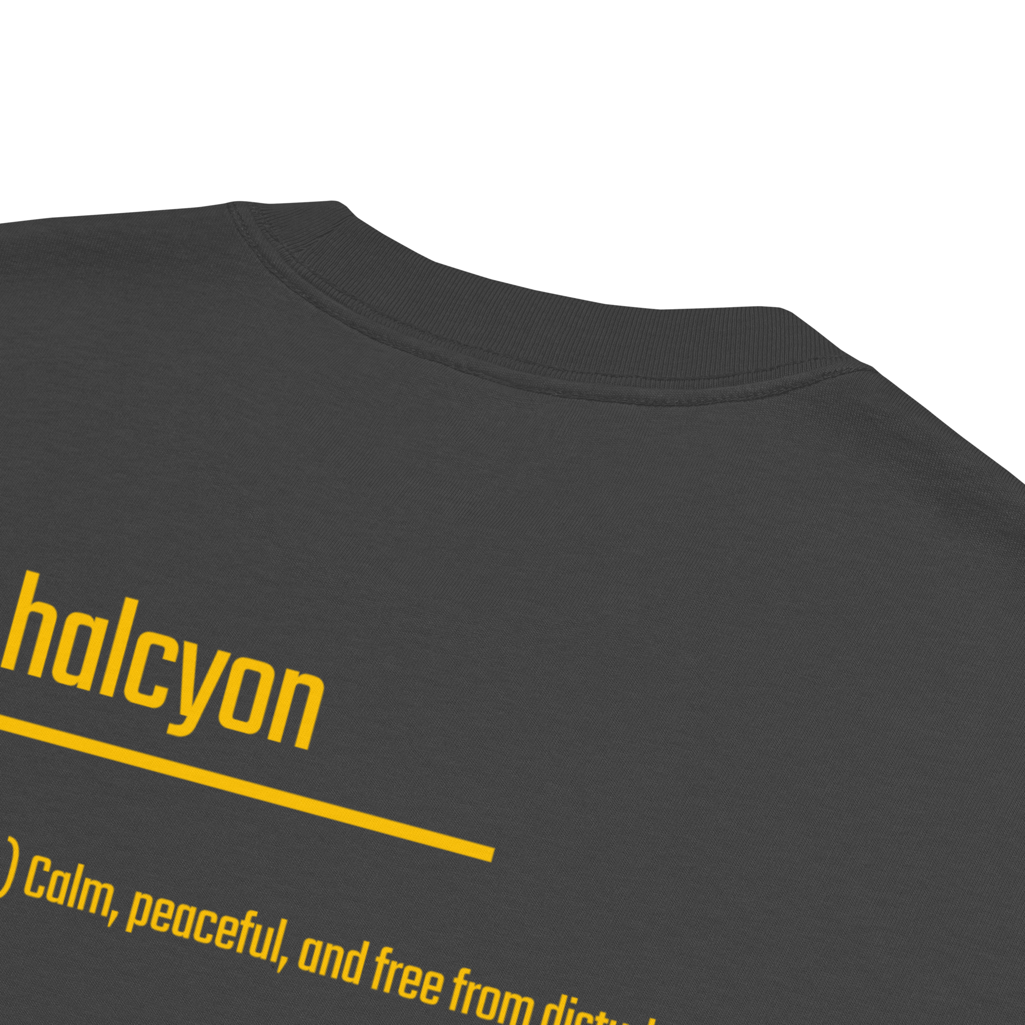 IntrovertedAlpha™ Oversized Faded T-Shirt in Faded Black for men, vintage-wash streetwear with a relaxed oversized fit