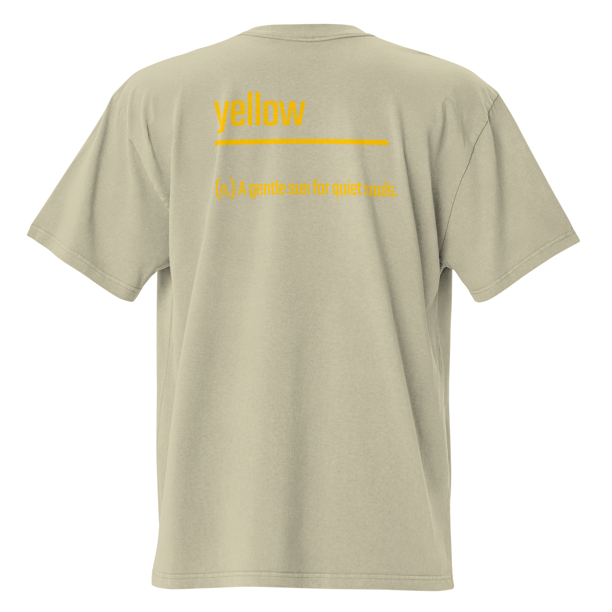 Xantho Philos™ Oversized Faded T-Shirt in Faded Eucalyptus for men, washed green oversized T-shirt with premium casual style2.png
