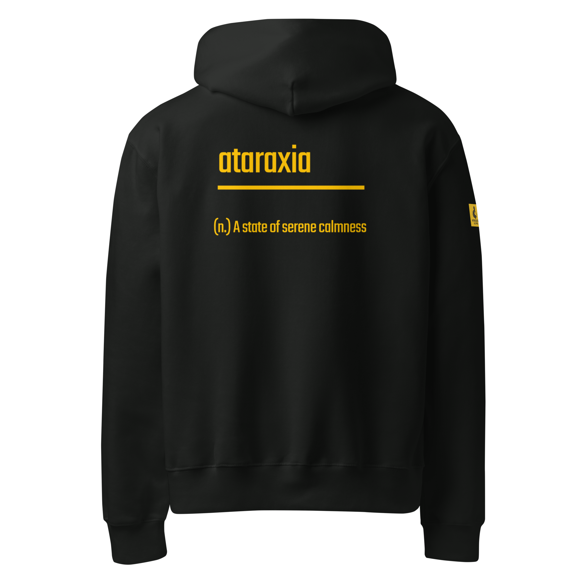 IntrovertedAlpha™ Oversized Hoodie in Vintage Black for men, premium heavyweight streetwear with a relaxed oversized fit