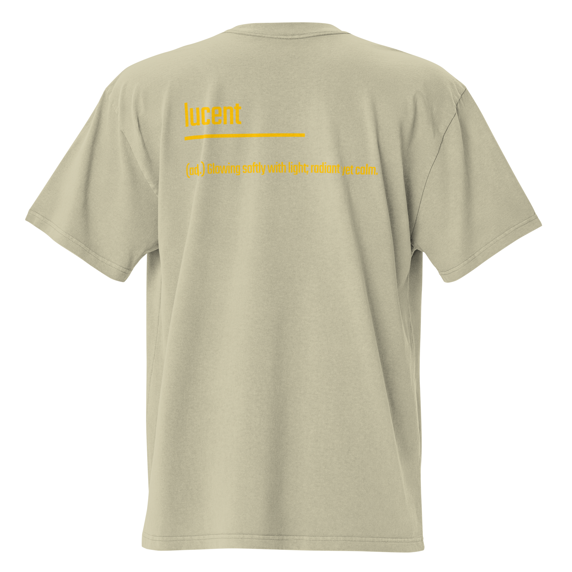 Xantho Philos™ Oversized Faded T-Shirt in Faded Eucalyptus for men, washed green oversized T-shirt with premium casual style