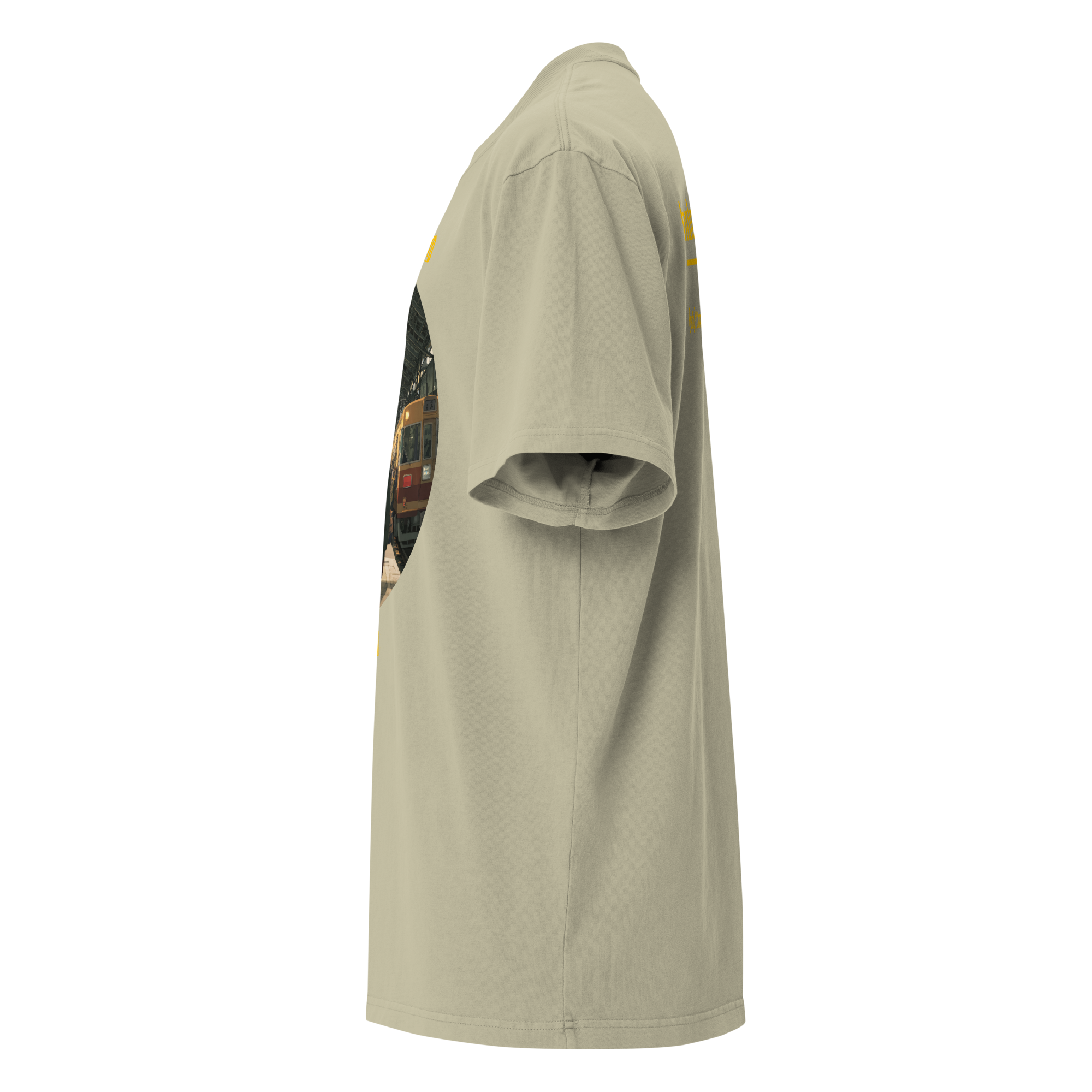 IntrovertedAlpha™ Oversized Faded T-Shirt in Faded Eucalyptus for men, washed green oversized T-shirt with premium casual style