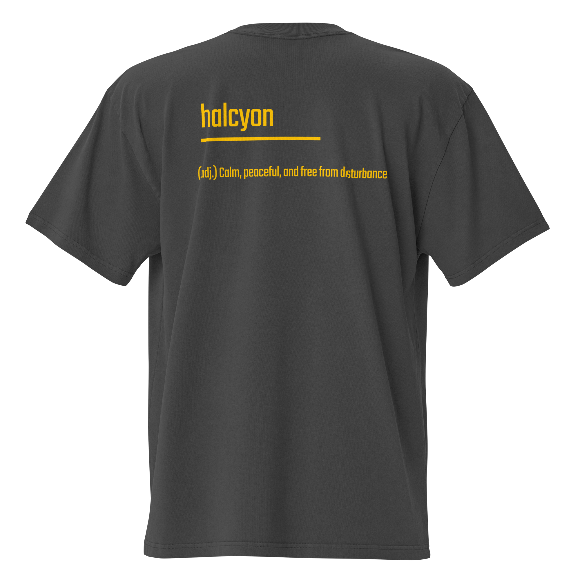 IntrovertedAlpha™ Oversized Faded T-Shirt in Faded Black for men, vintage-wash streetwear with a relaxed oversized fit