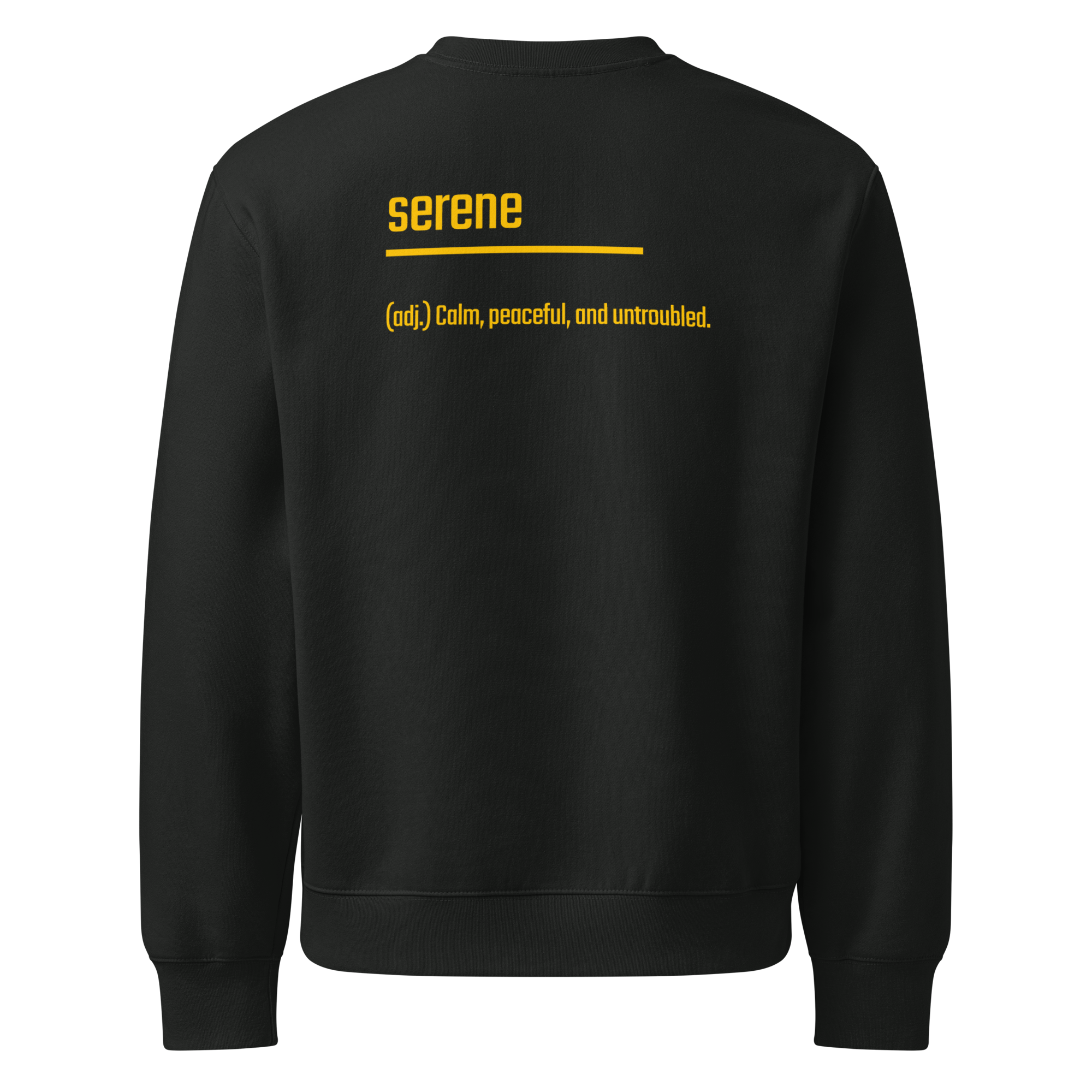 IntrovertedAlpha™ Oversized Sweatshirt in Vintage Black for men, washed heavyweight sweatshirt with a relaxed oversized fit