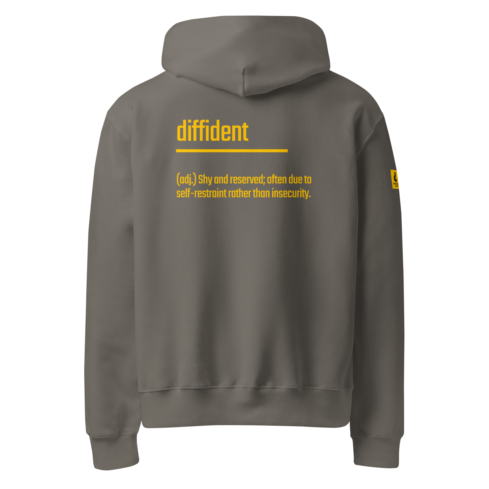 IntrovertedAlpha™ Oversized Hoodie in Asphalt for men, clean minimalist hoodie with premium heavyweight comfort