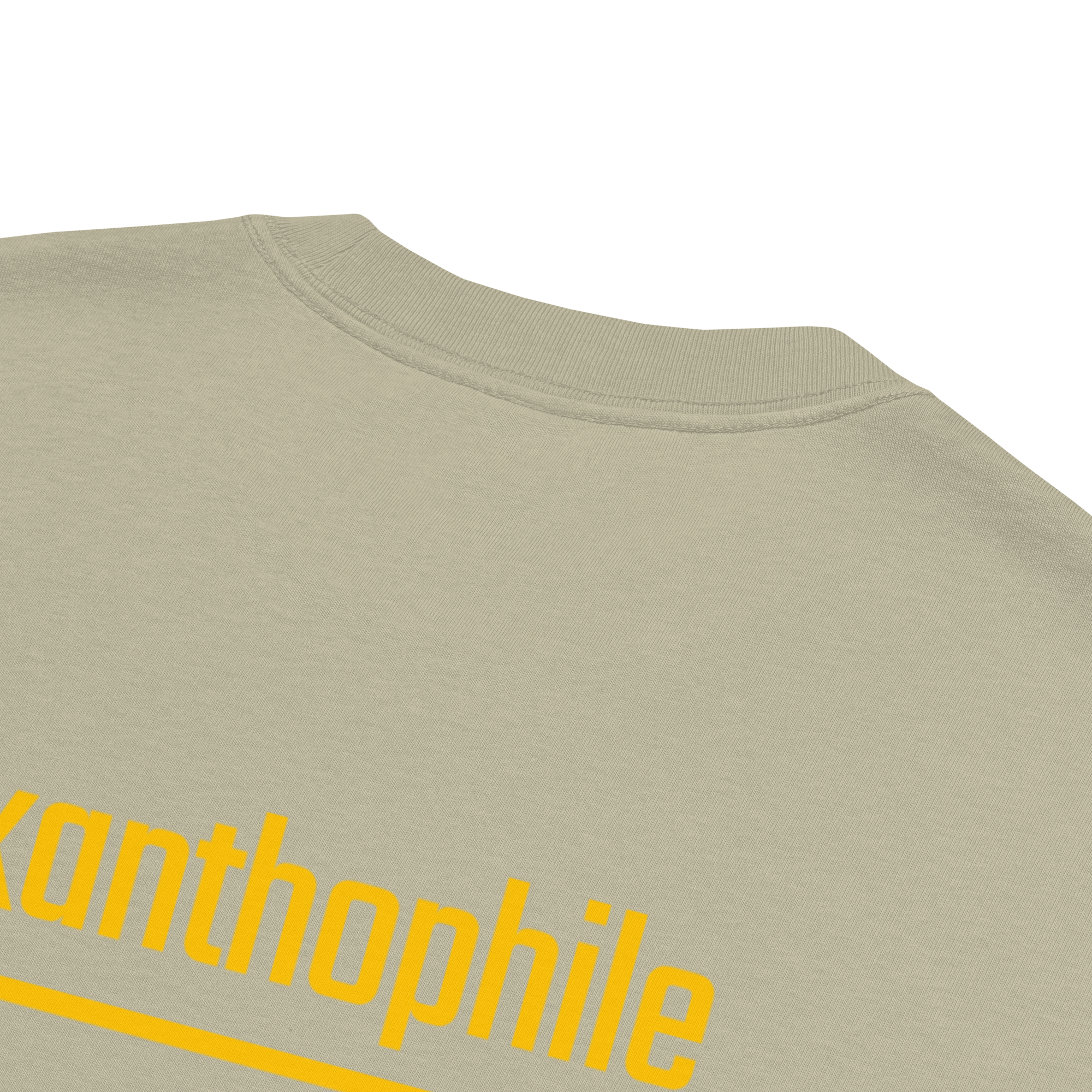 Xantho Philos™ Oversized Faded T-Shirt in Faded Eucalyptus for men, washed green oversized T-shirt with premium casual style