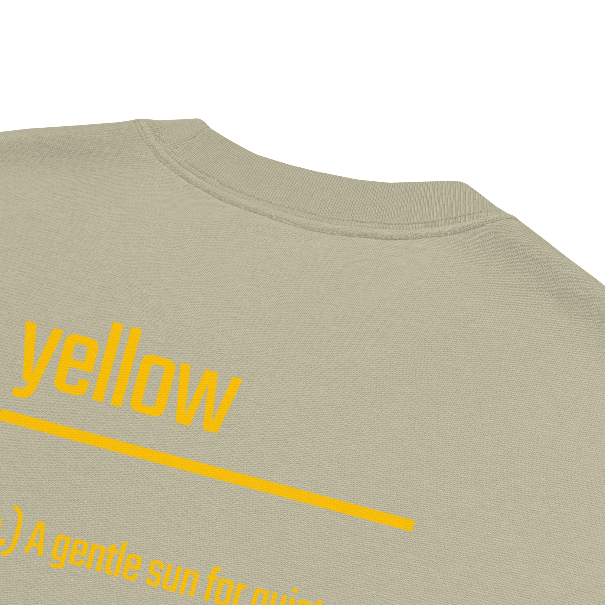 Xantho Philos™ Oversized Faded T-Shirt in Faded Eucalyptus for men, washed green oversized T-shirt with premium casual style5.png