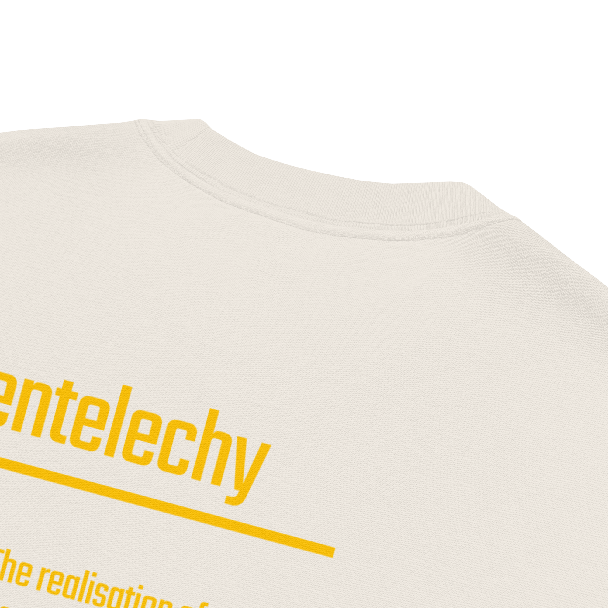 mens-oversized-faded-t-shirt-faded-bone-product-details-69d7f008065f4.png