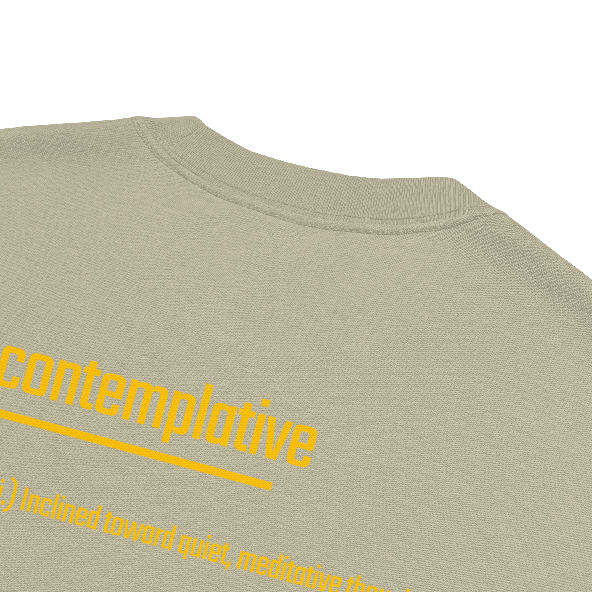IntrovertedAlpha™ Oversized Faded T-Shirt in Faded Eucalyptus for men, washed green oversized T-shirt with premium casual style