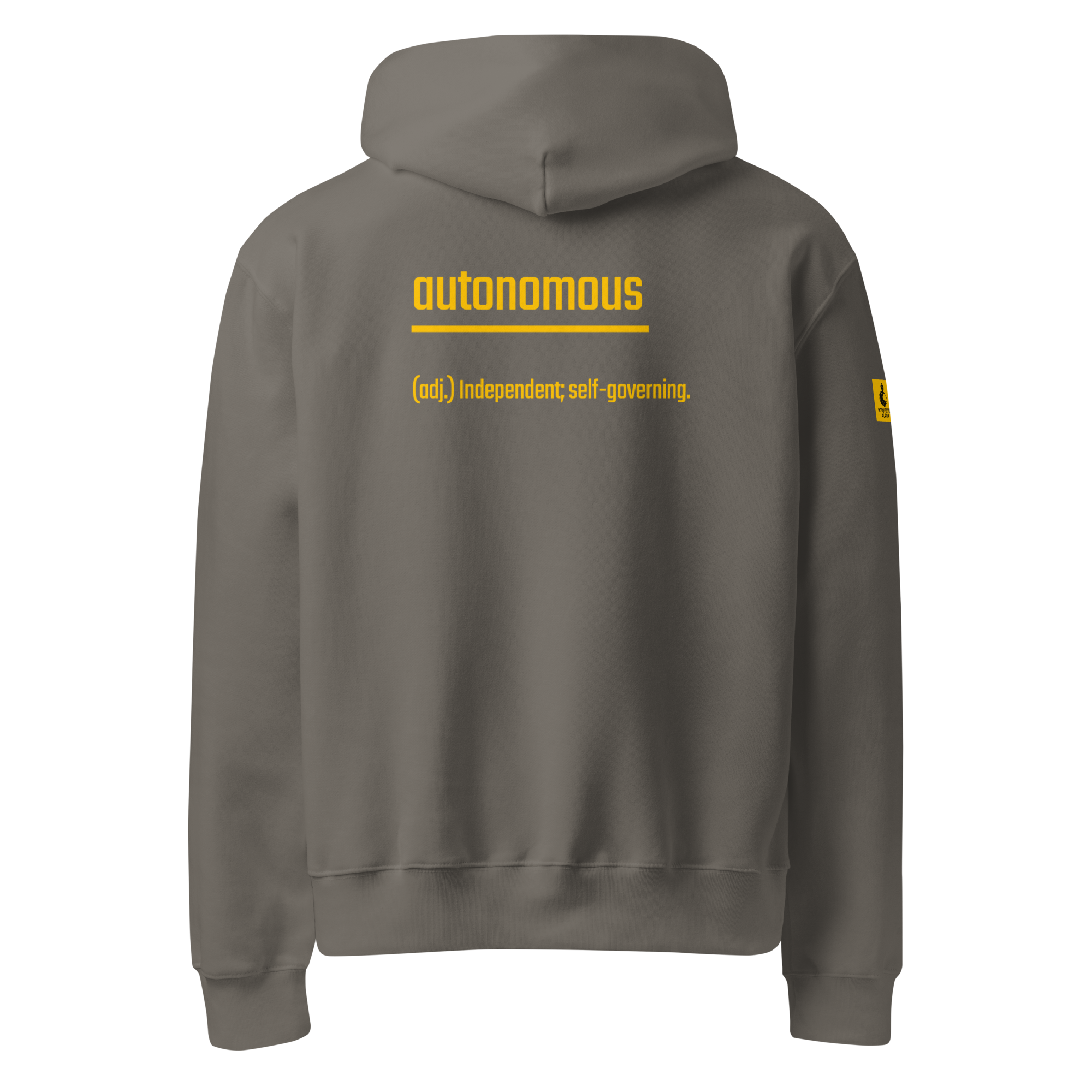 IntrovertedAlpha™ Oversized Hoodie in Asphalt for men, clean minimalist hoodie with premium heavyweight comfort