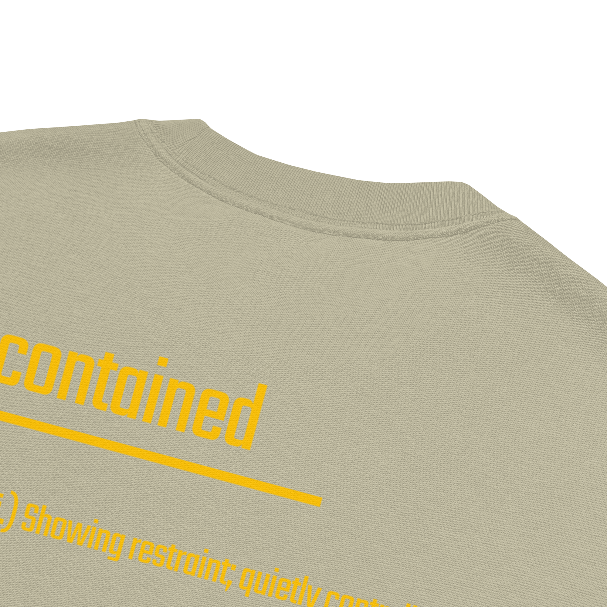 IntrovertedAlpha™ Oversized Faded T-Shirt in Faded Eucalyptus for men, washed green oversized T-shirt with premium casual style