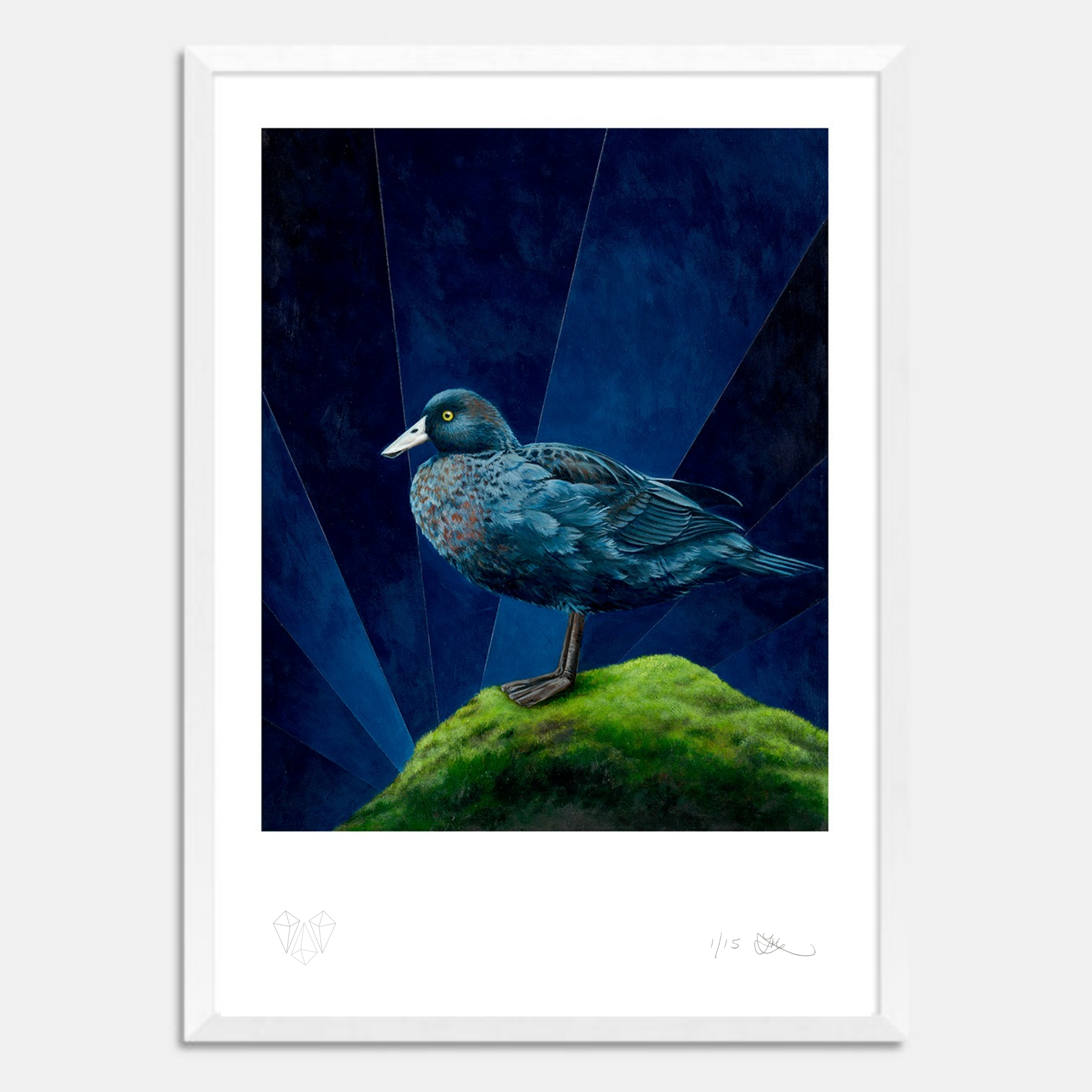 Blue duck whio limited edition print by Lucy Melville artist in white frame.png