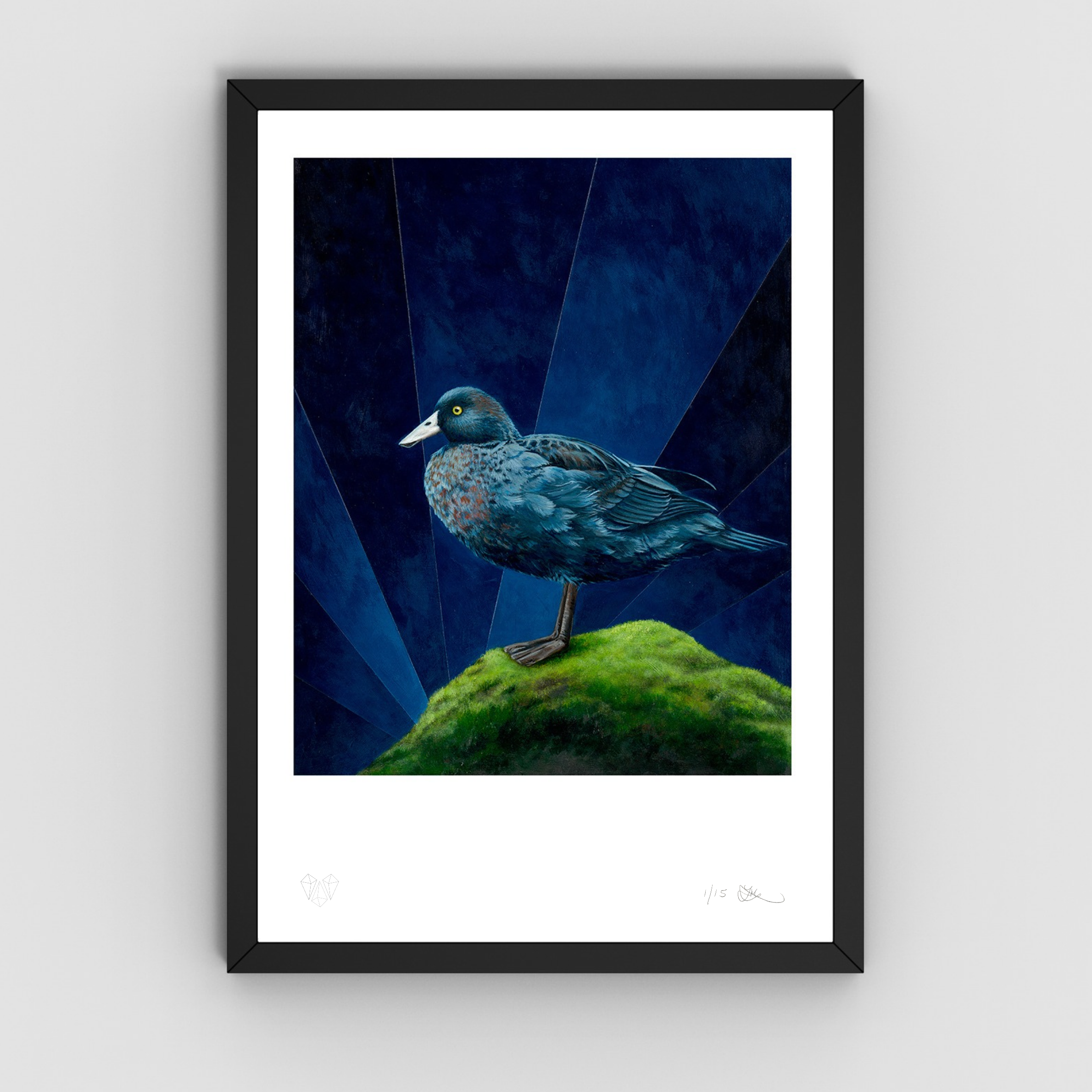 Blue duck whio limited edition print by Lucy Melville artist in black frame.png