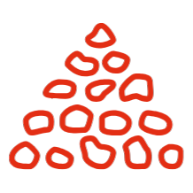 Austin Tippers Nelson Tasman