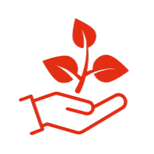 Austin Tippers Nelson Tasman