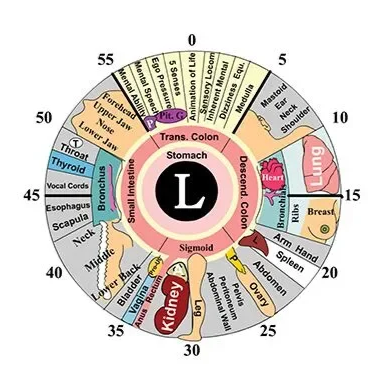 Iridology