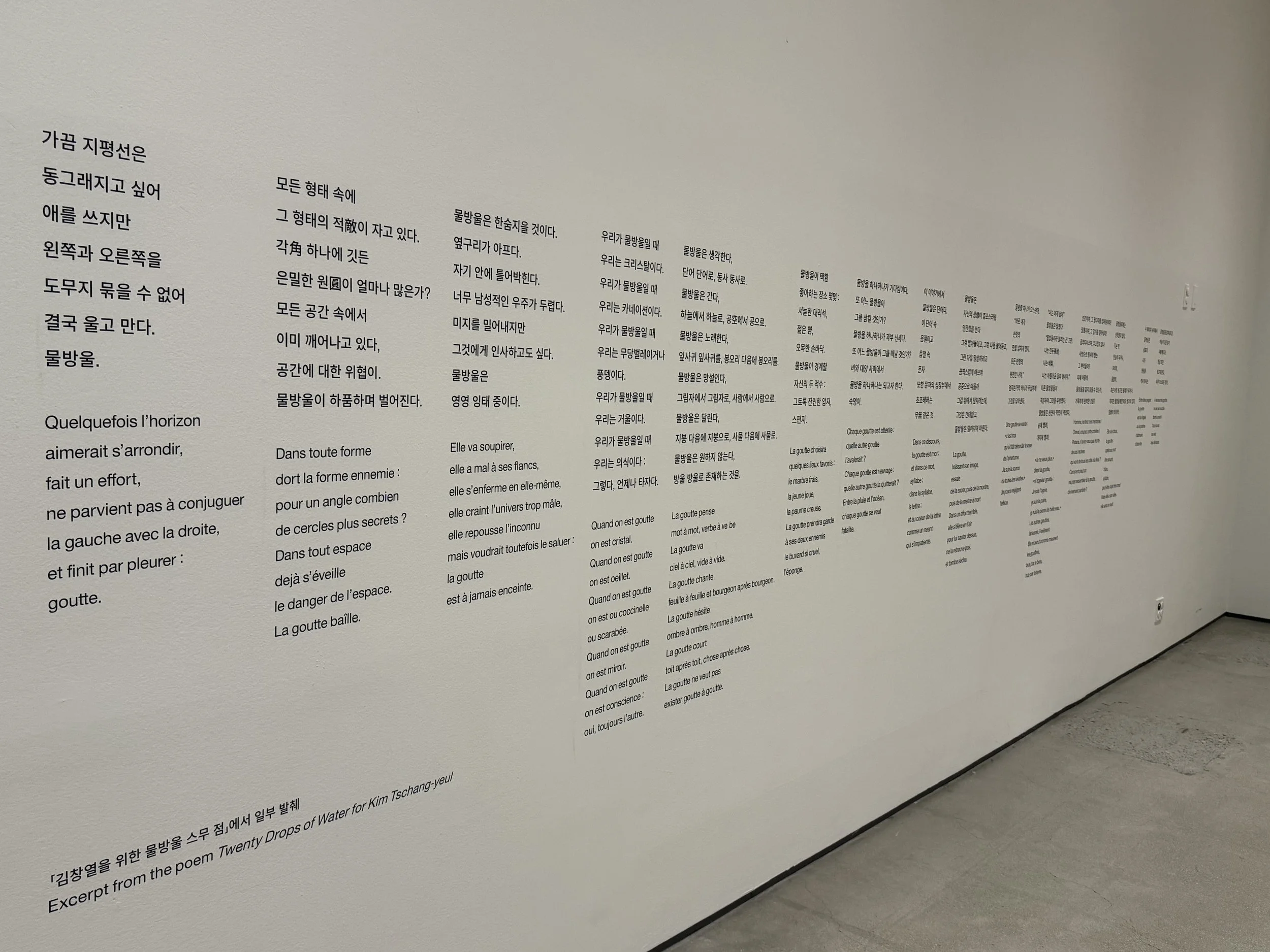 KIM TSCHANG-YEOL, MMCA